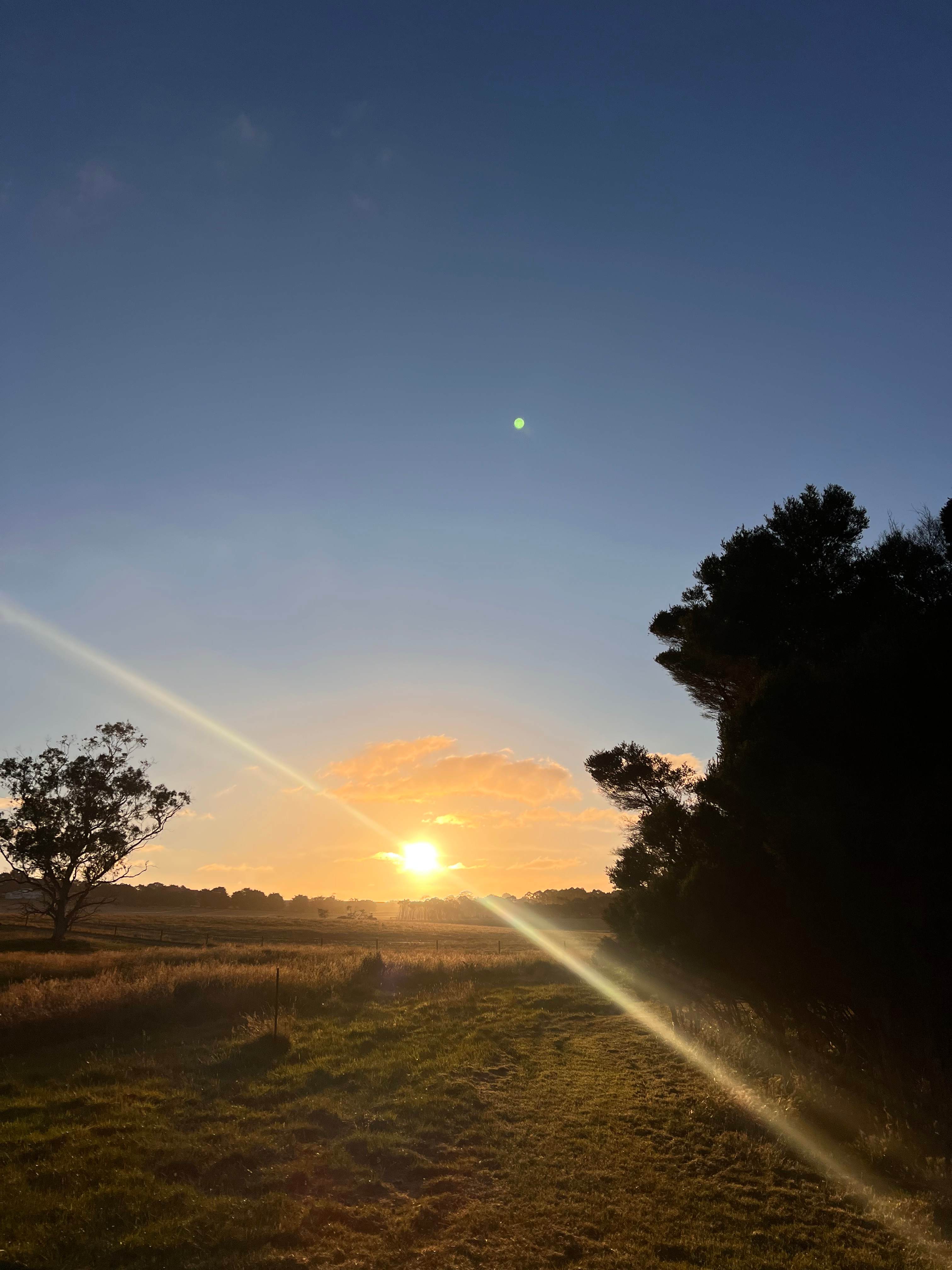 Green Gully Farmstay Camp Paddock