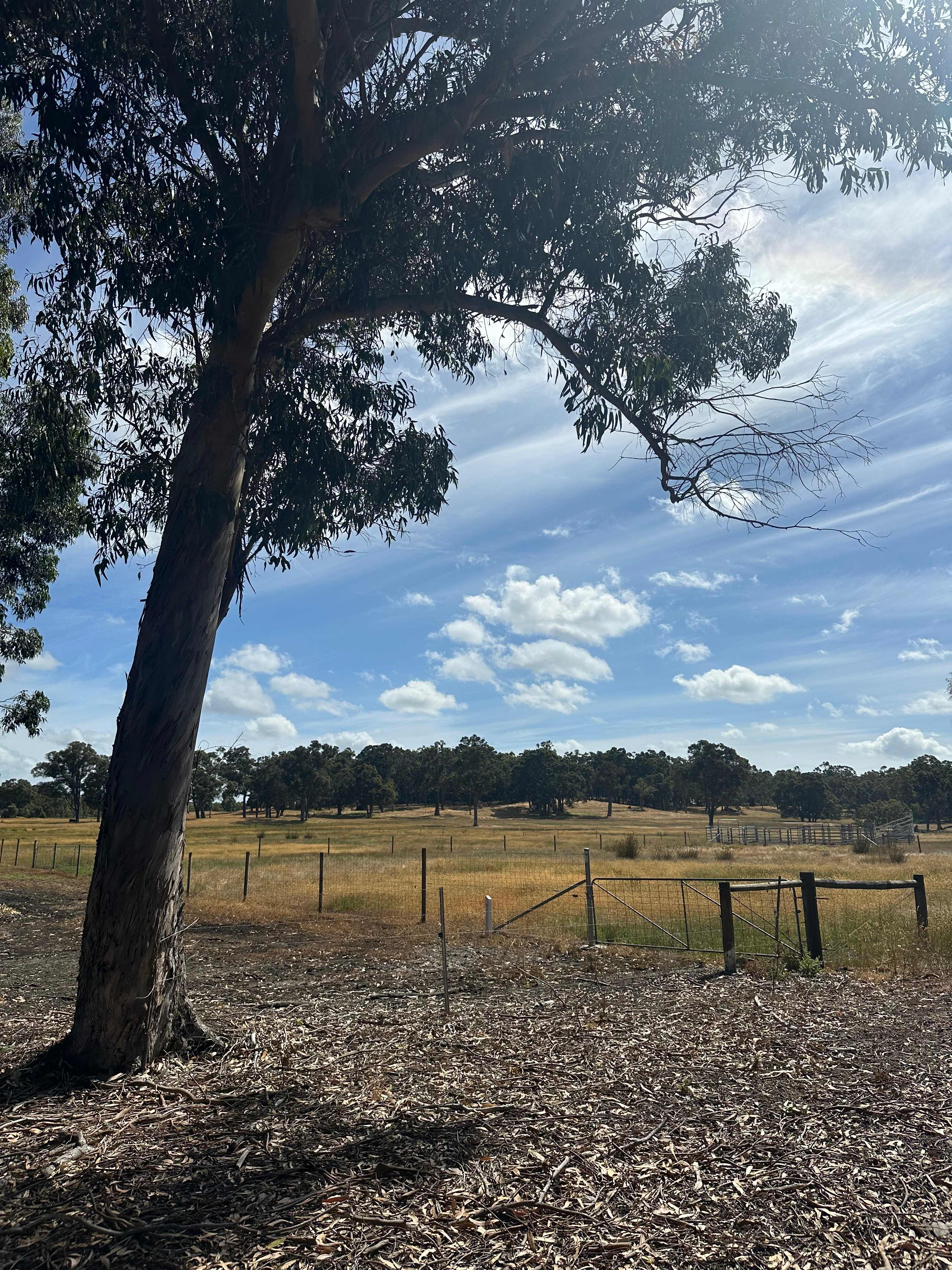 Green Valley Farm Stay