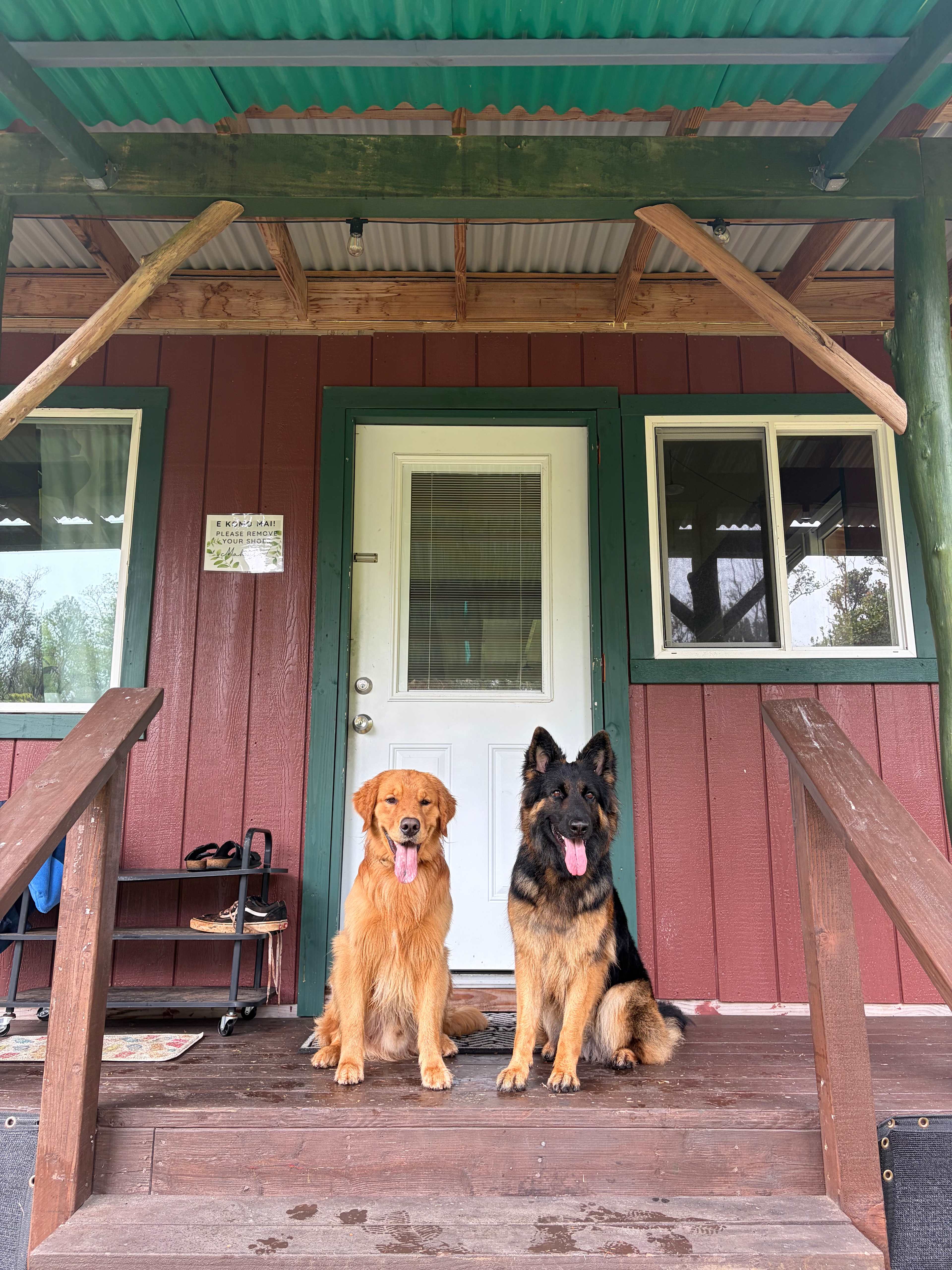 Lava Rock Cabin ~ Off Grid Hale