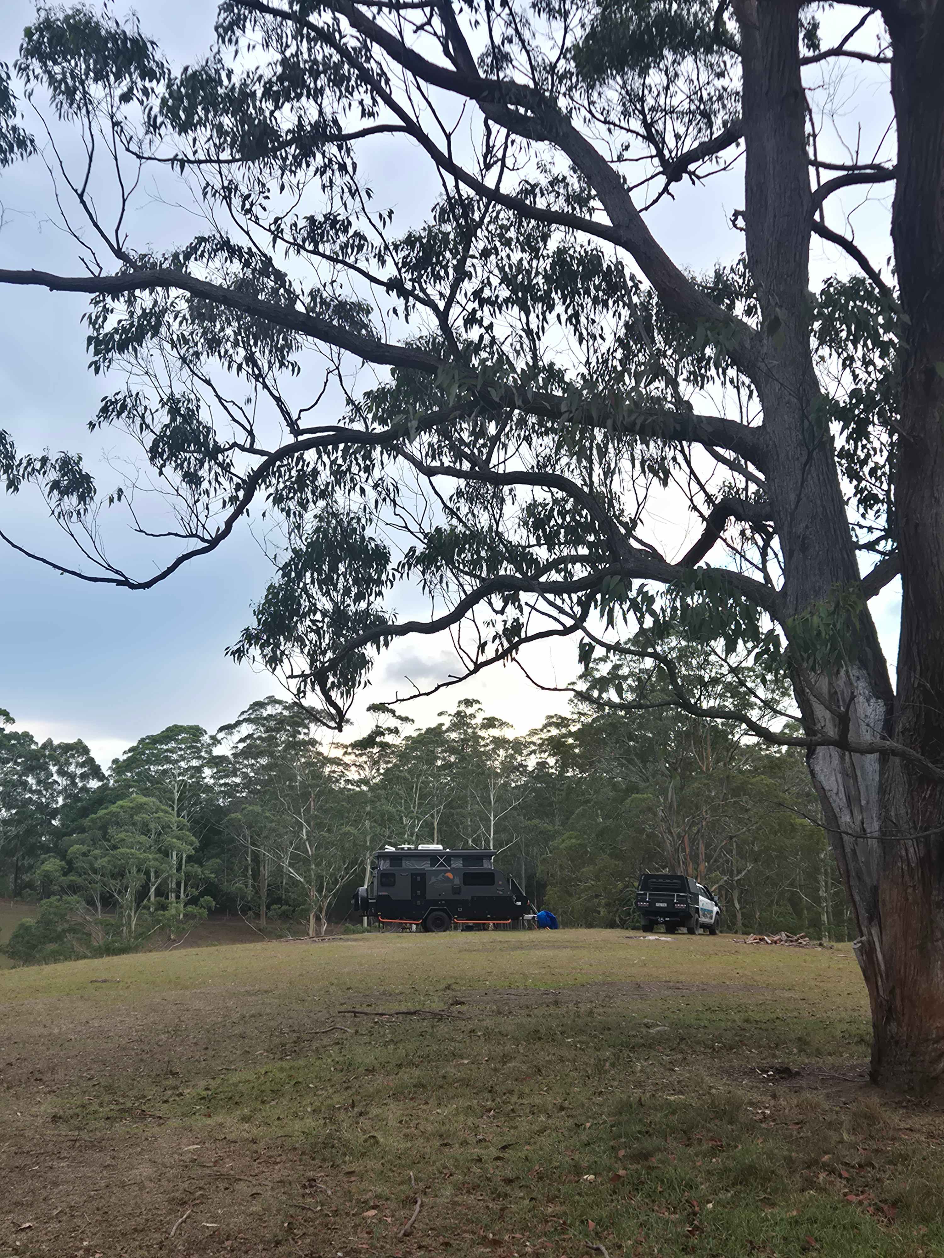 Wootton Arabian Stud Farmstay