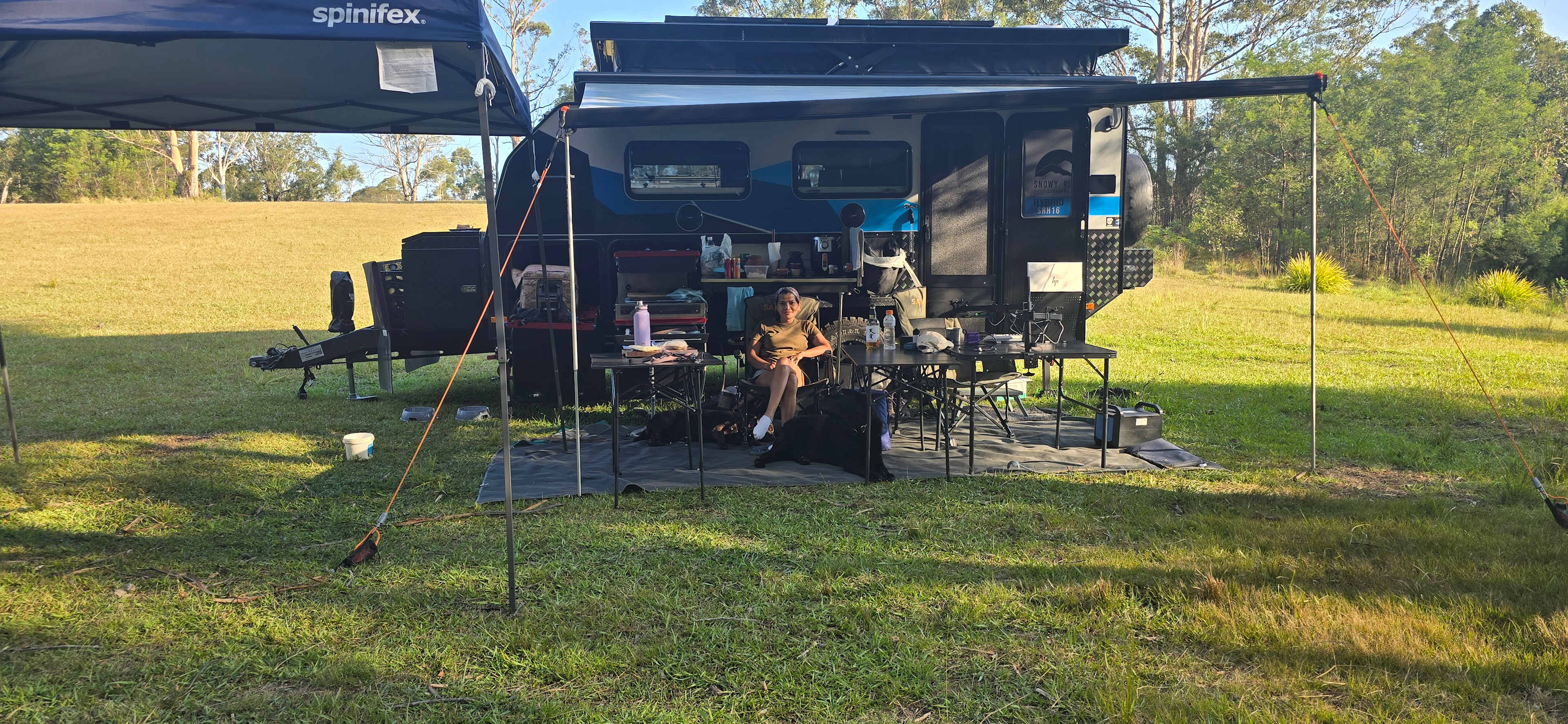 The Hundred Acre Woods