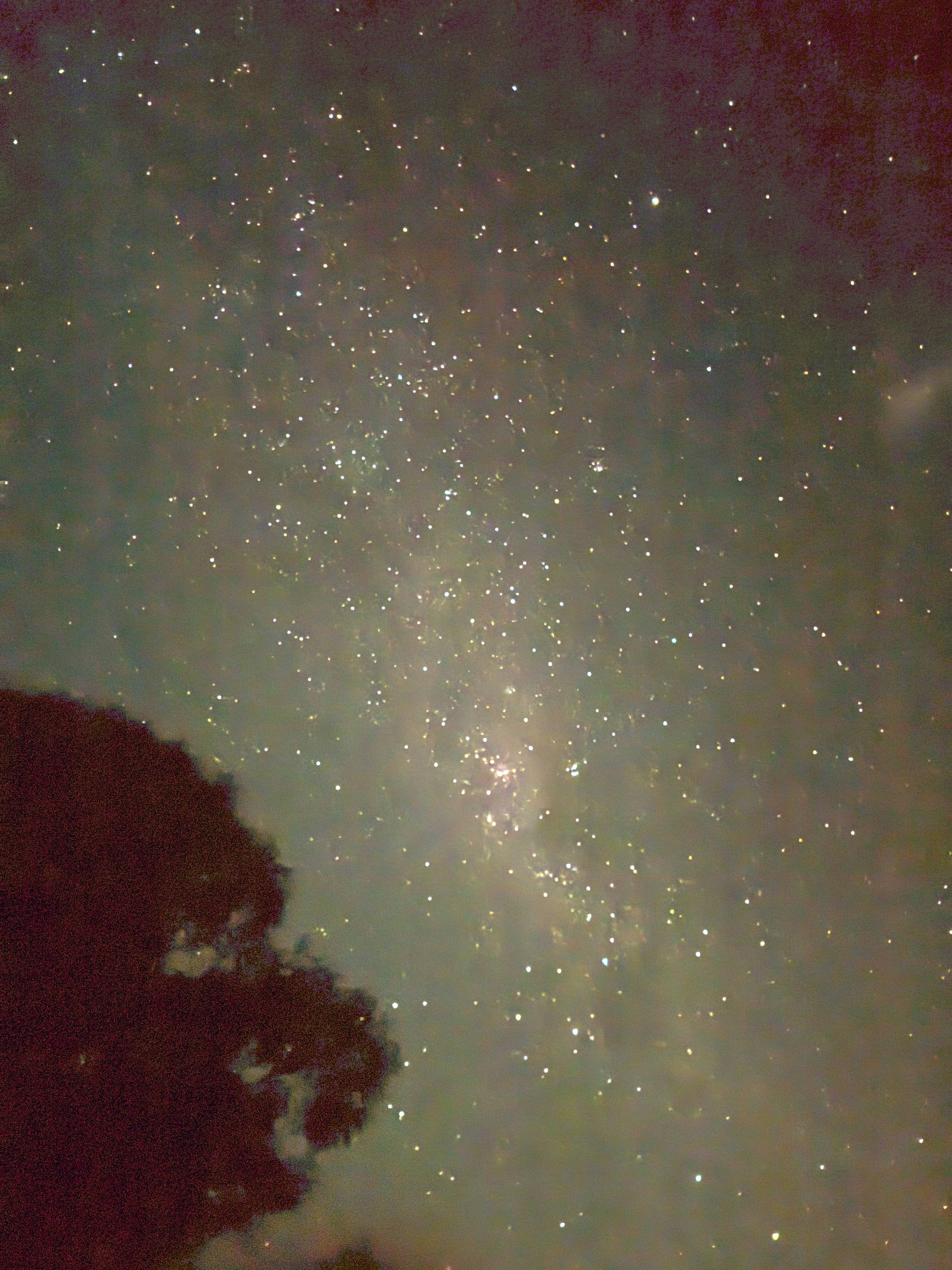 Green Valley Farm Stay