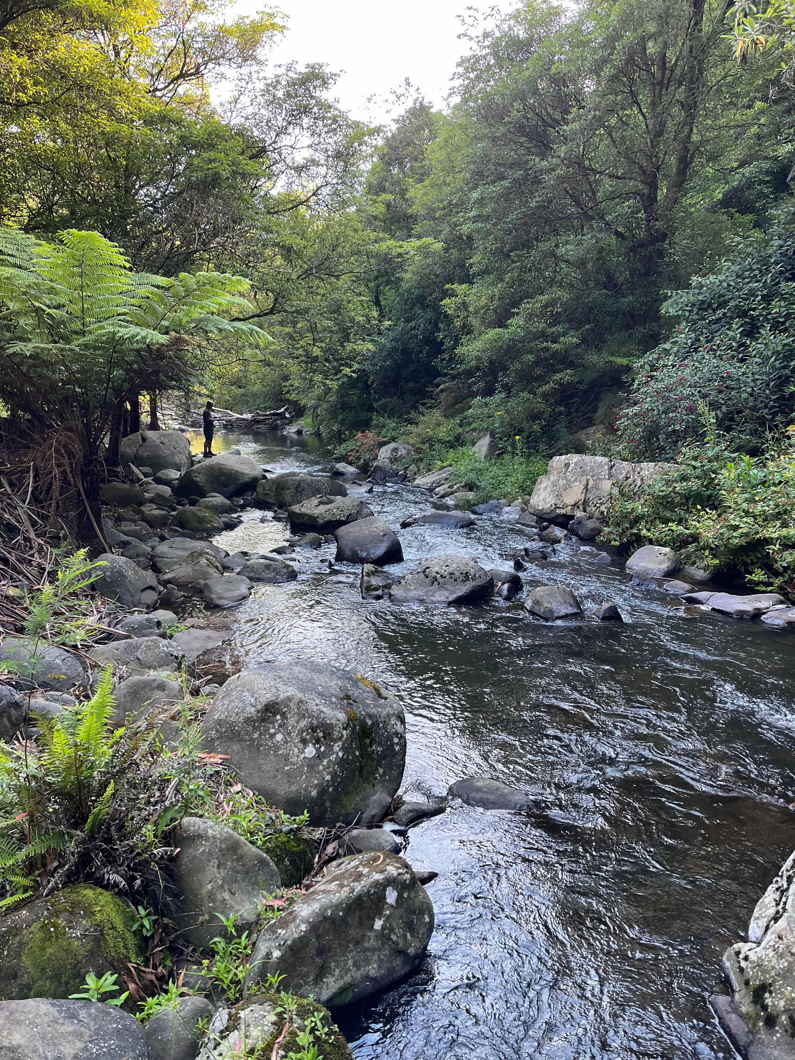 Tarra Valley Retreat