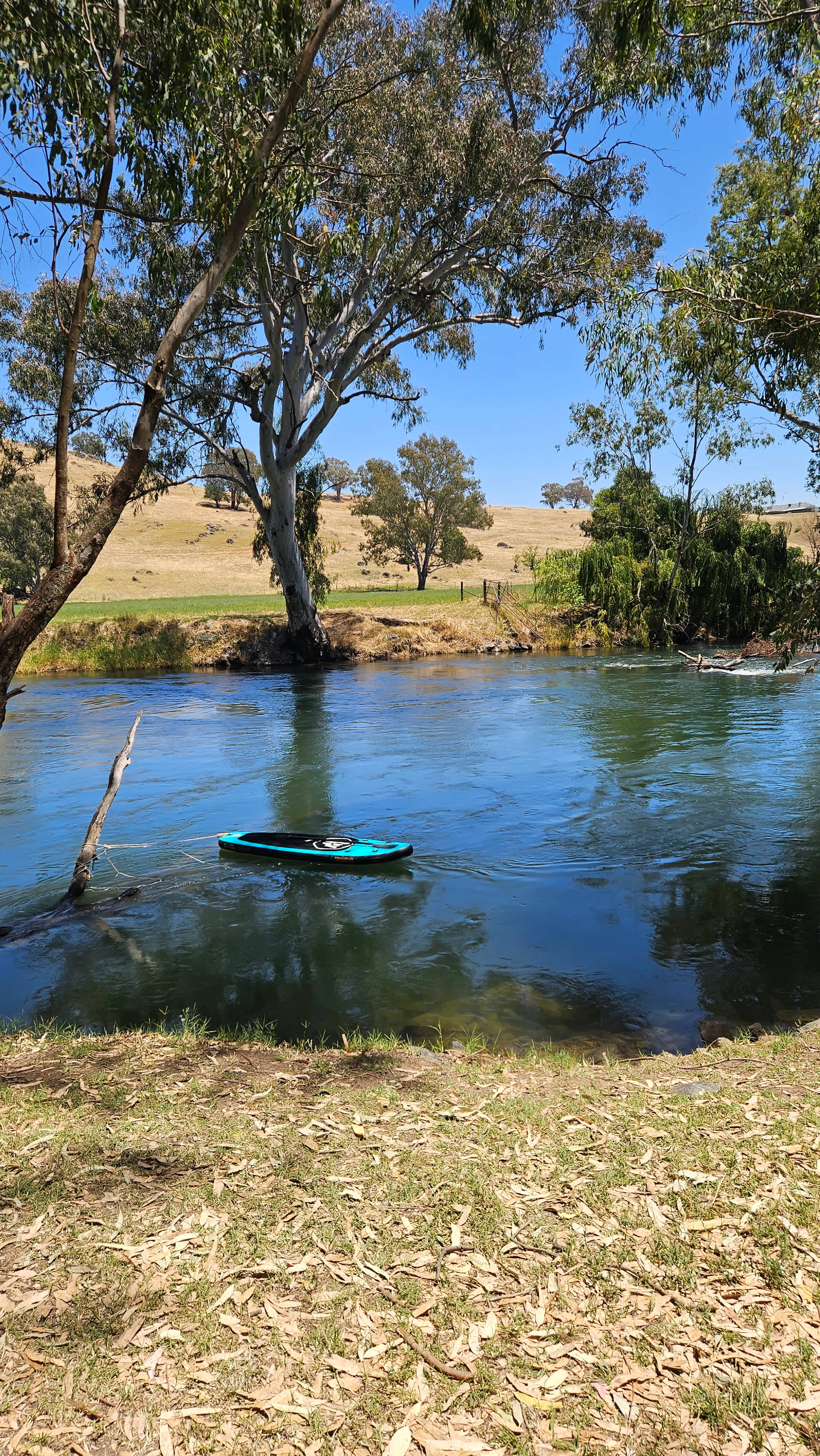 Bahwidgee on Tumut River