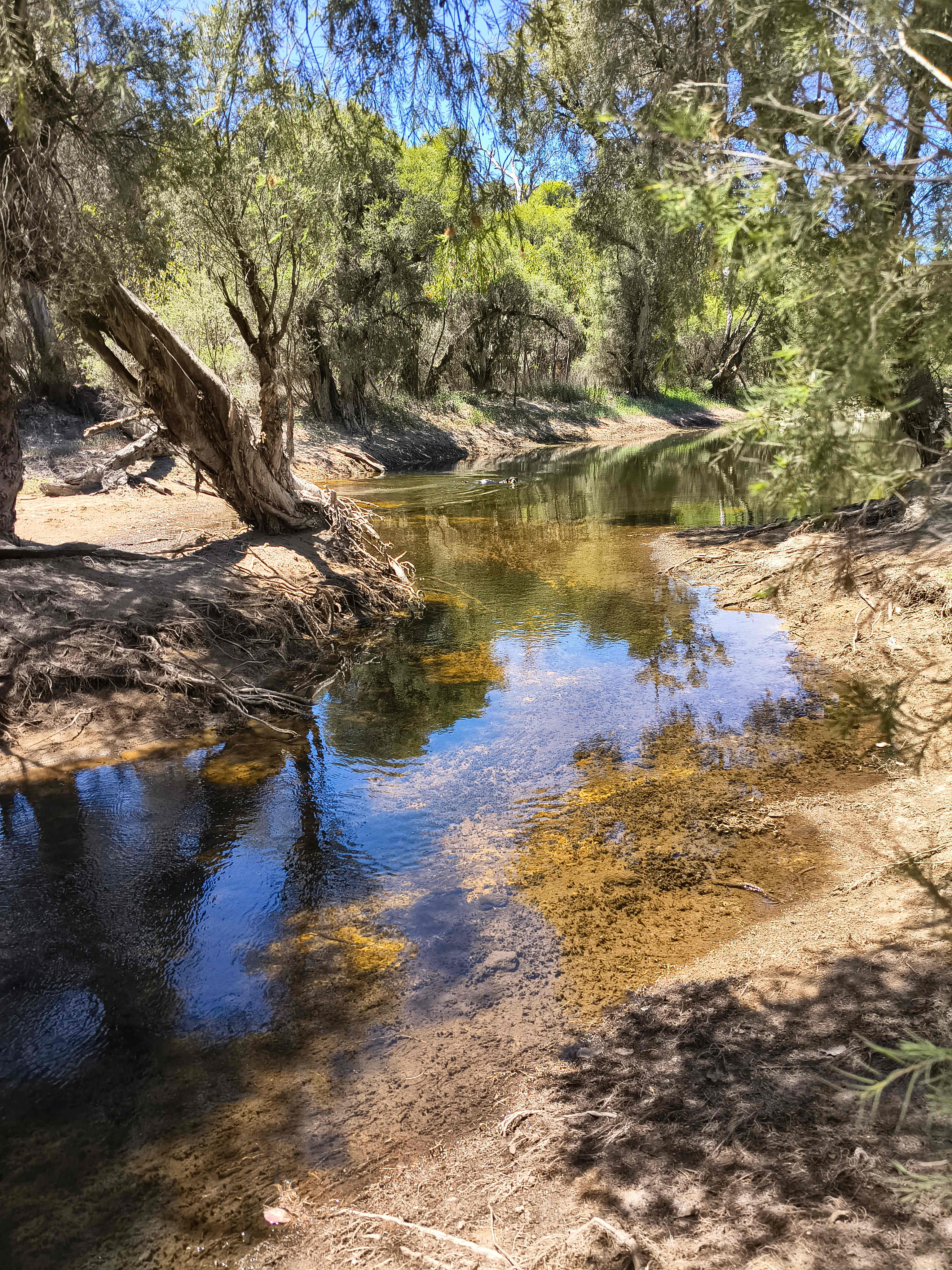 Murray Valley Camping