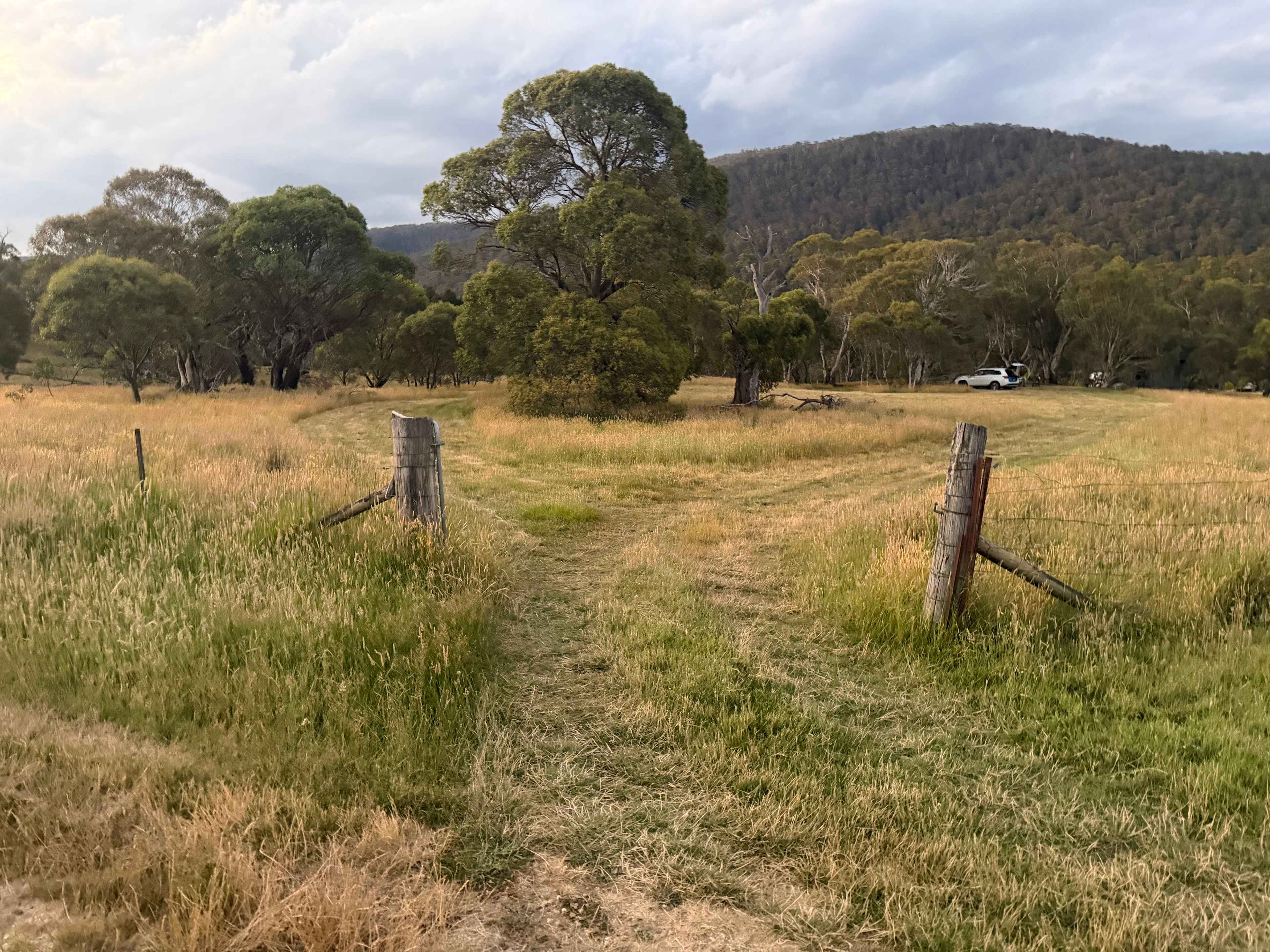 Bigyard Hipcamp where ...