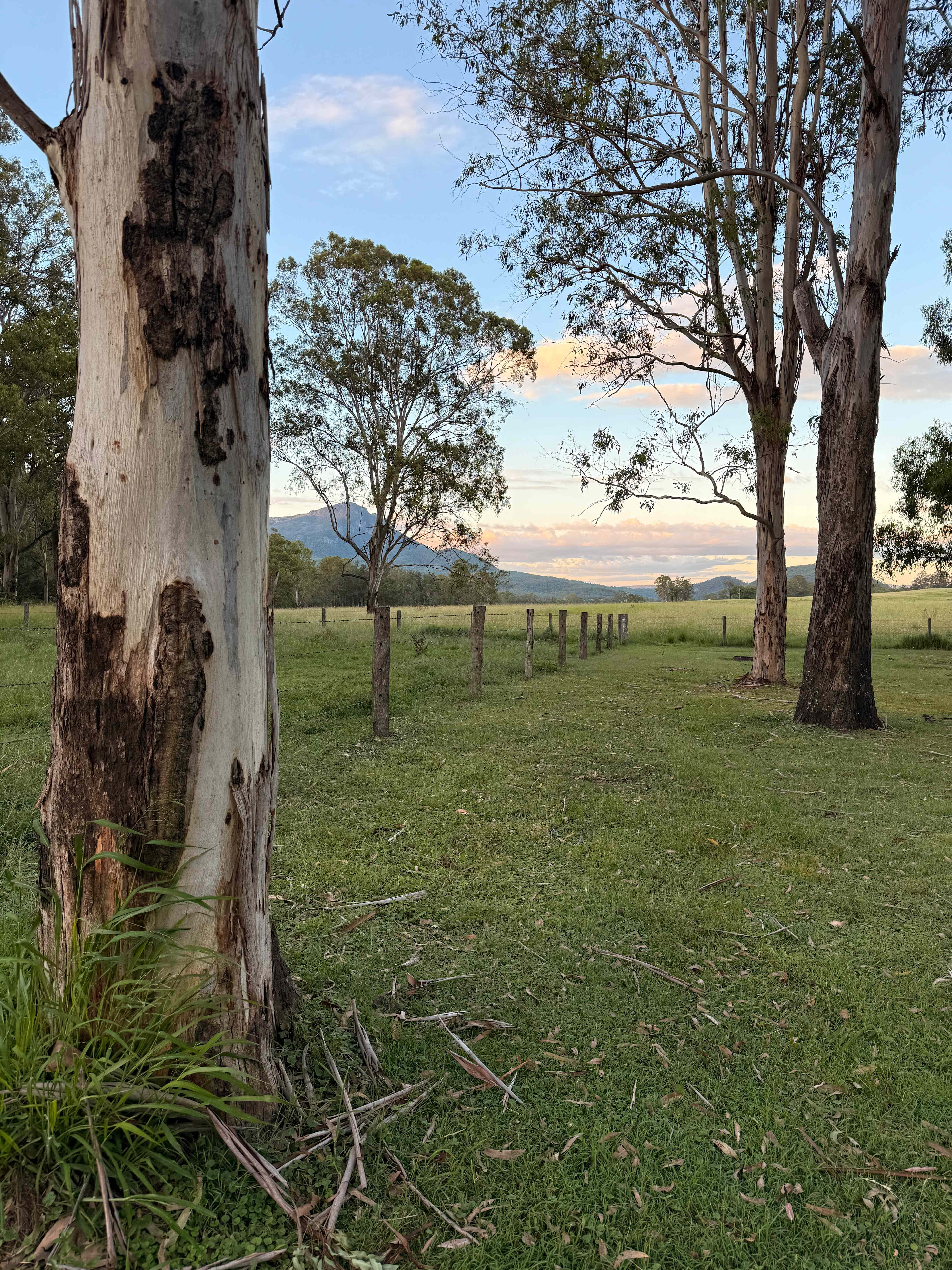 Mt Barney Lodge Eco Retreat