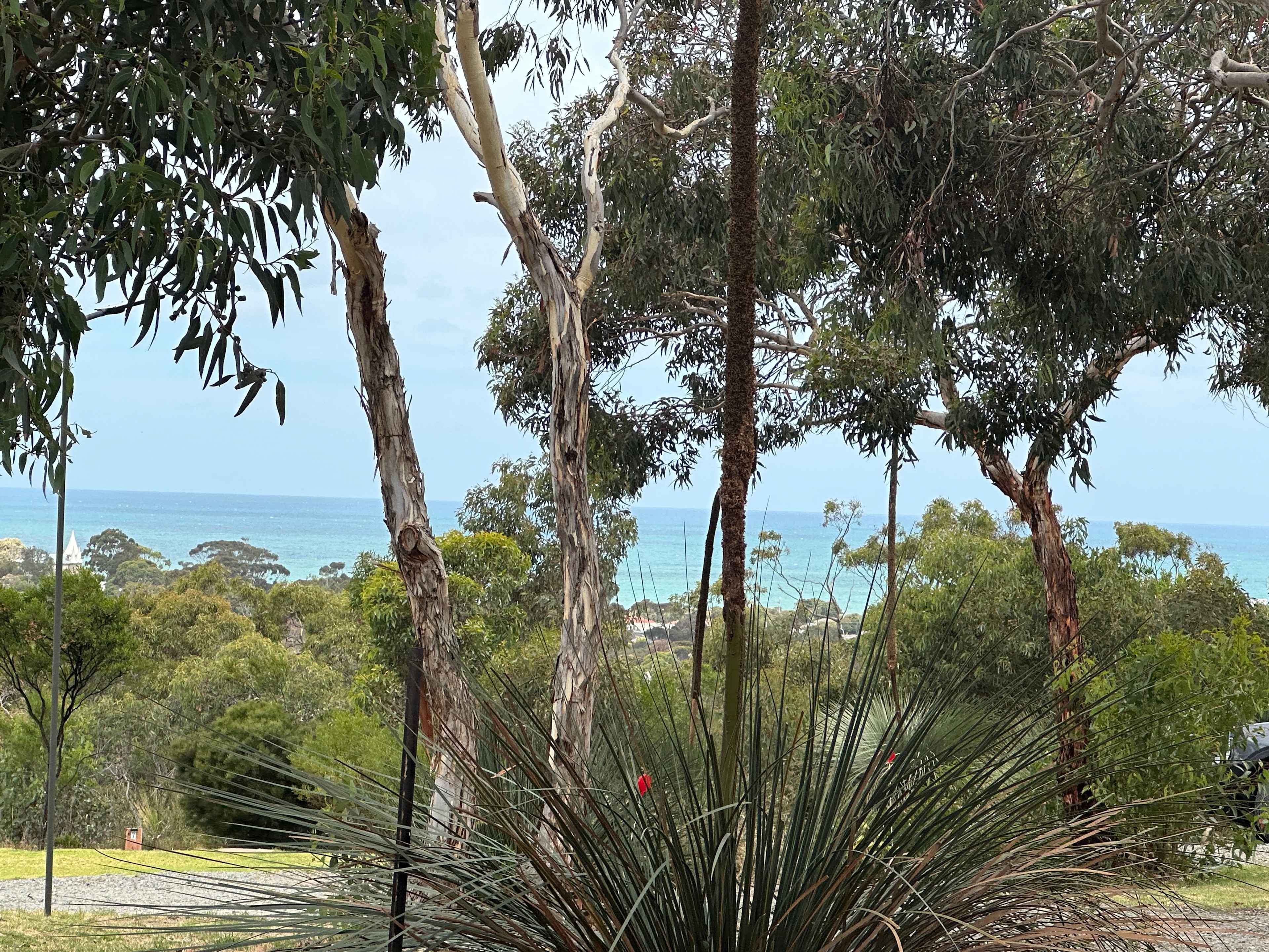 Cooinda Retreats - RV and Camp Stay