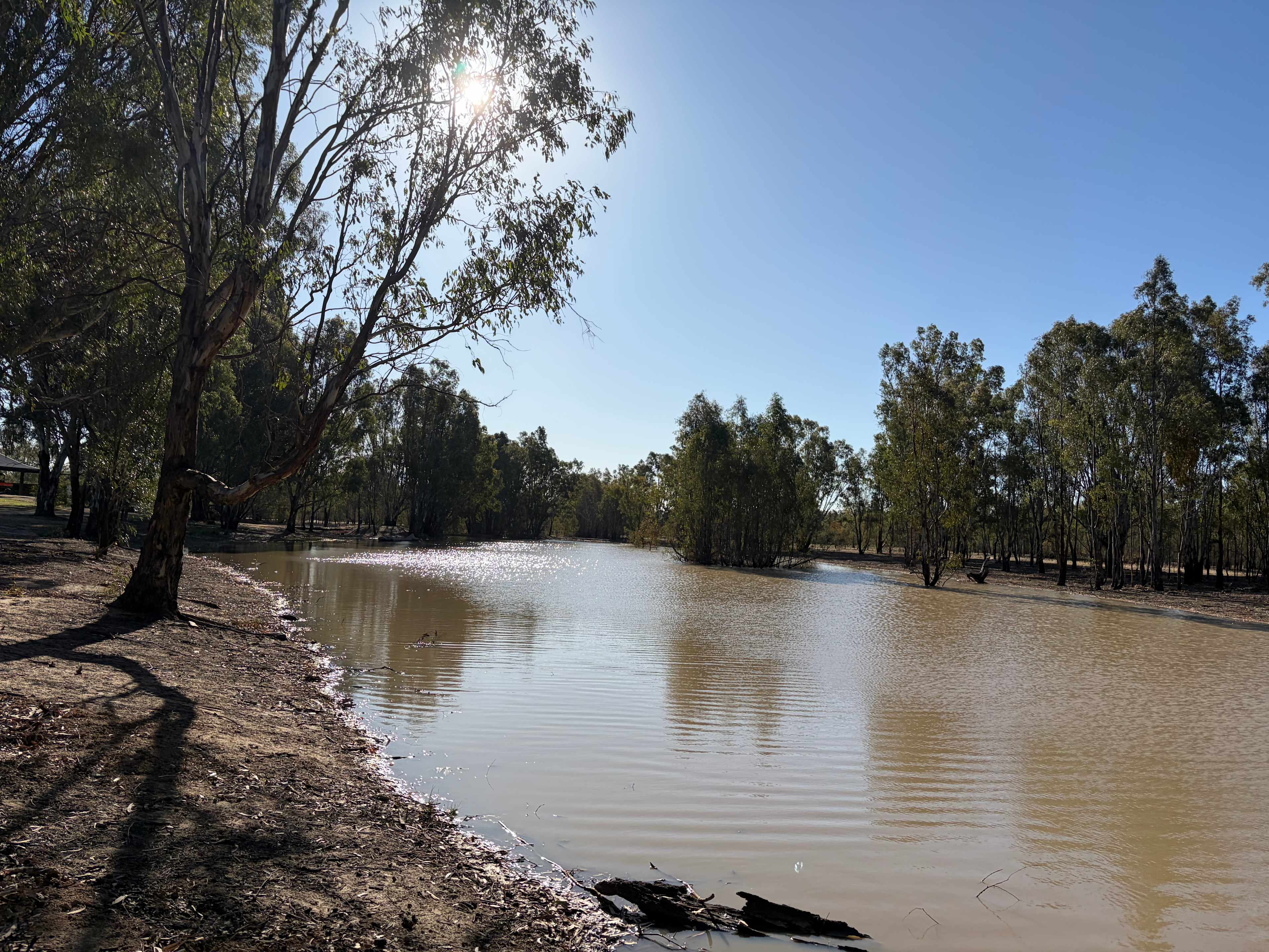 The Paddock at Ulupna