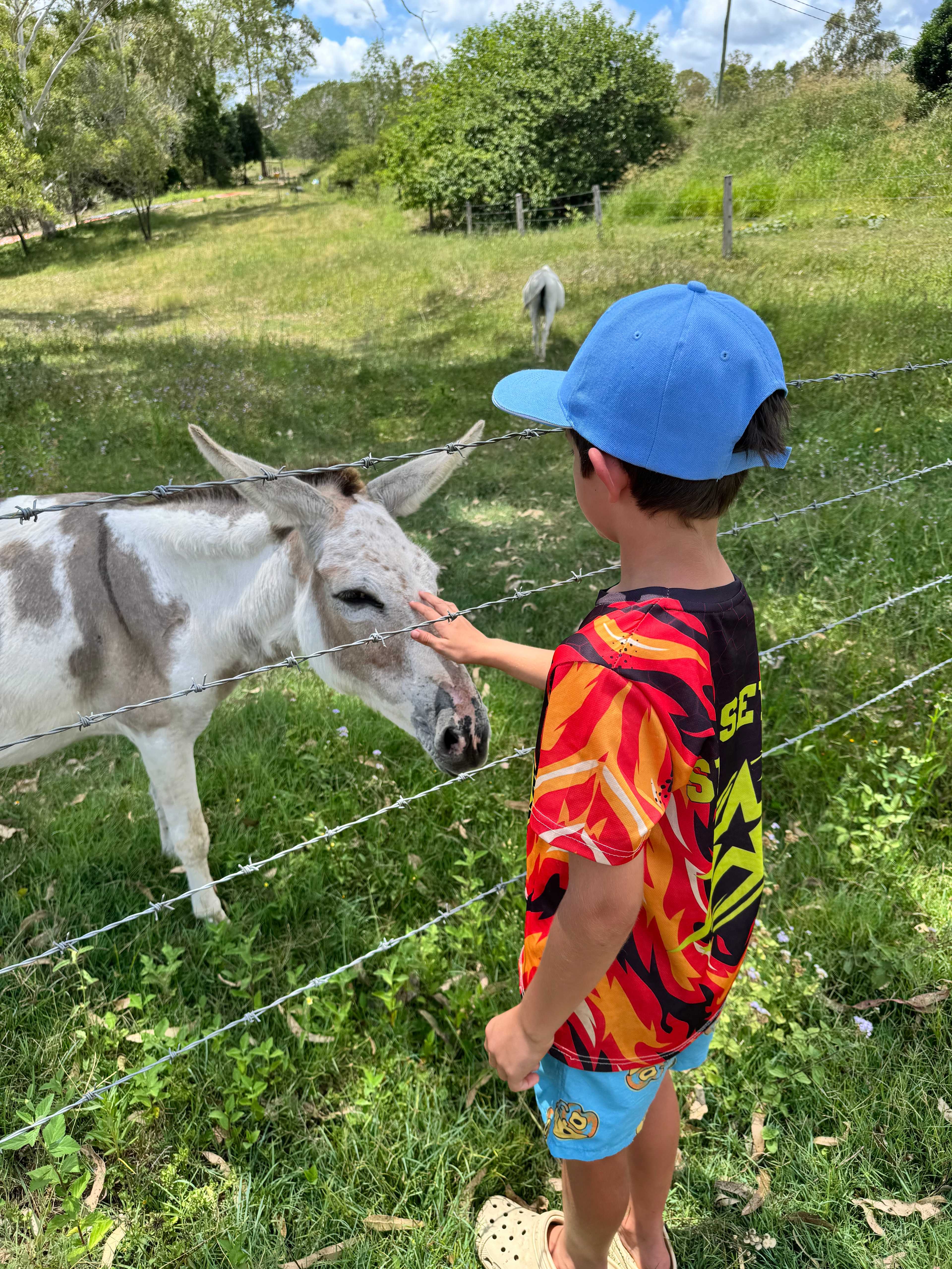 River Run Farm Camping