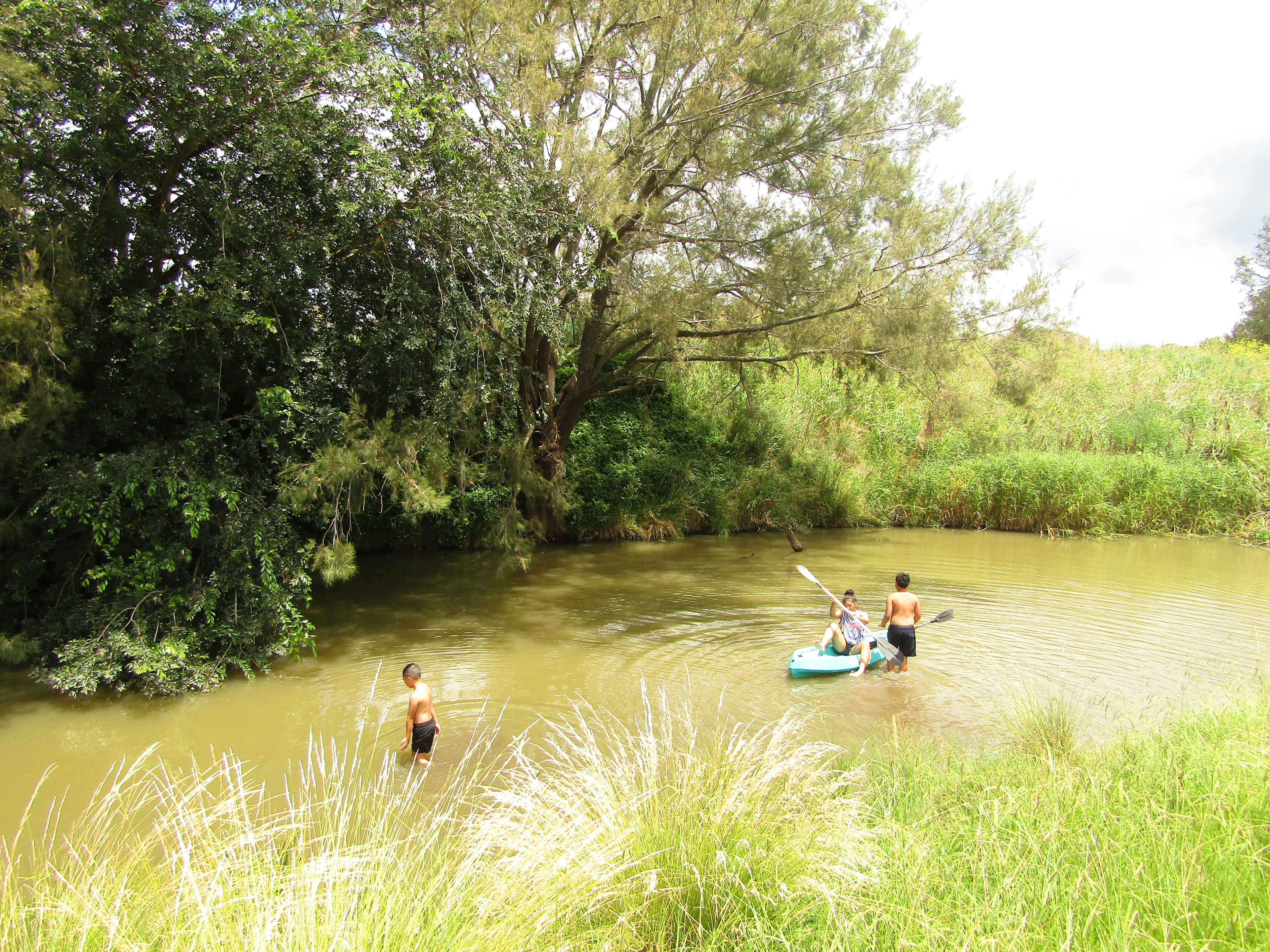 Berrima Camping & Farmstay