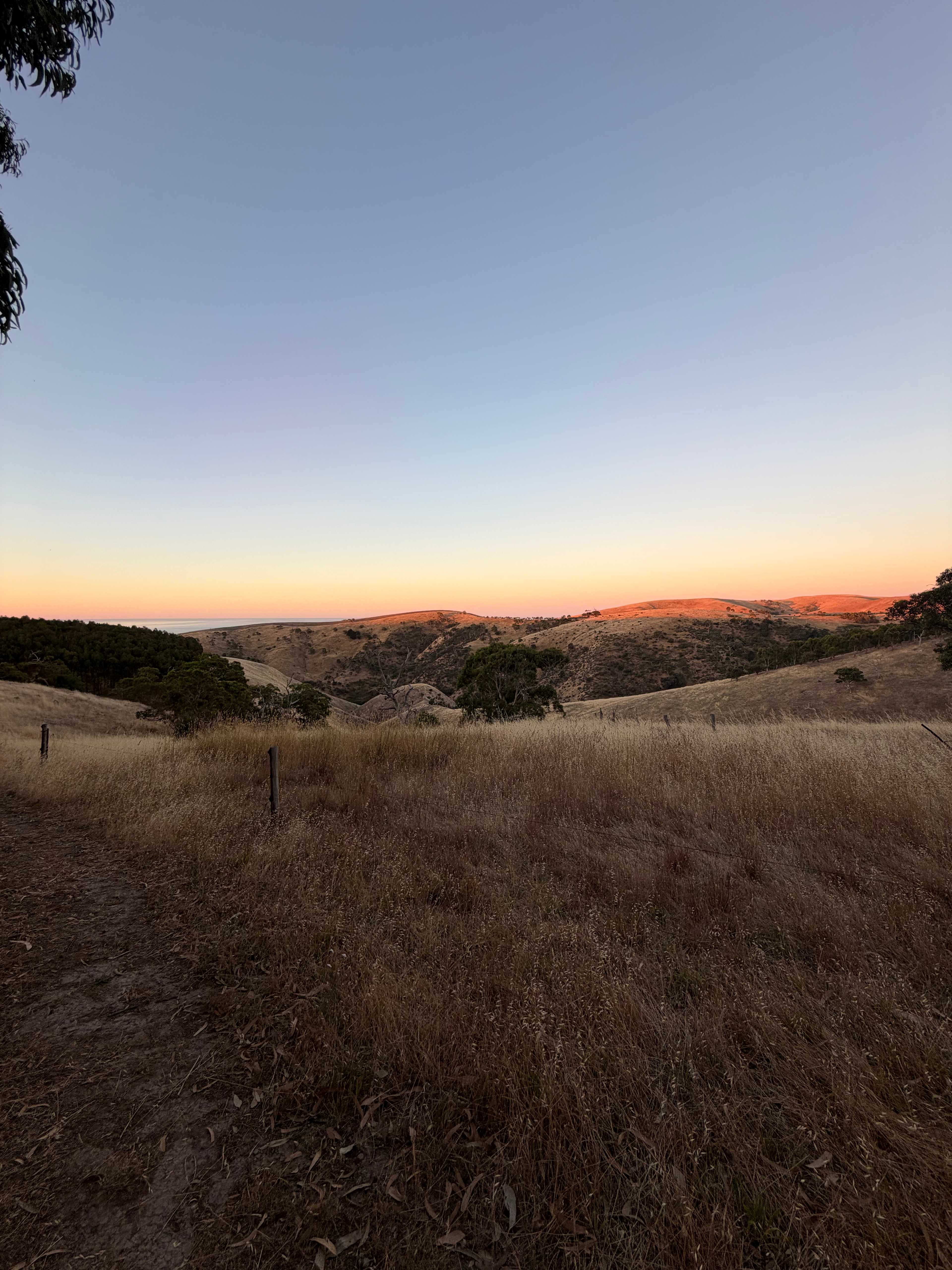 Koala Coast Retreat Farm