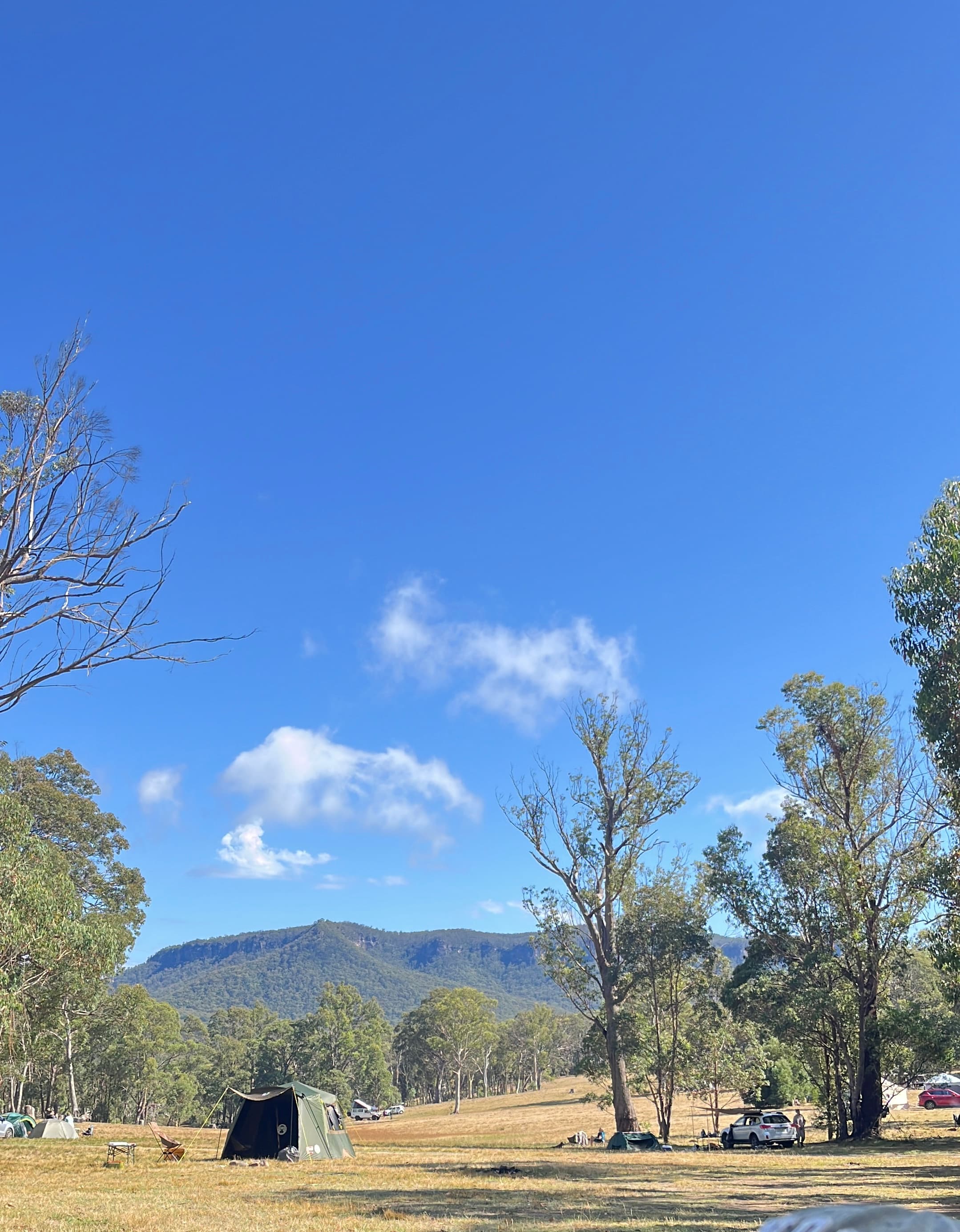Megalong Valley Farm