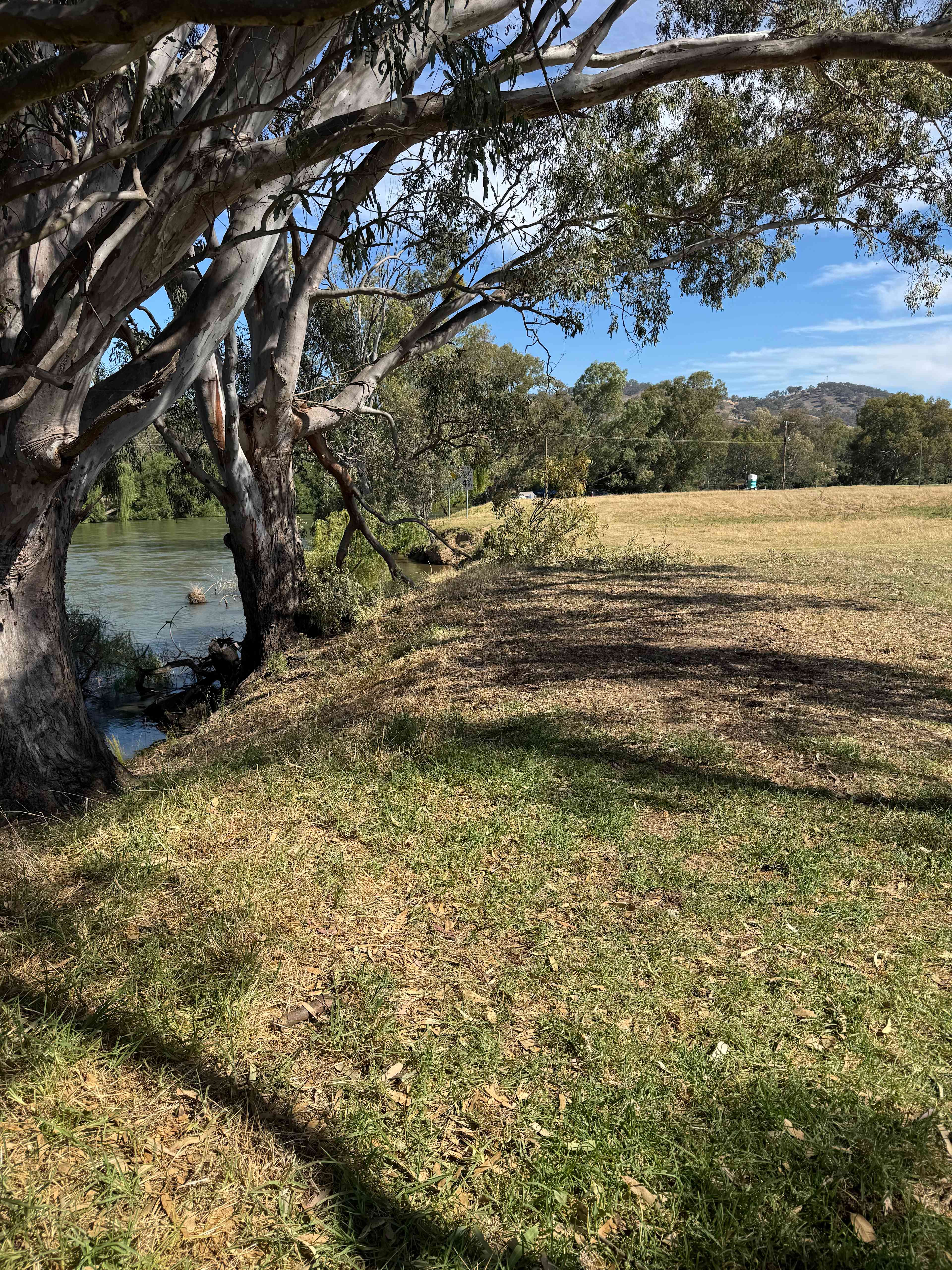 Willowbank on the Murray