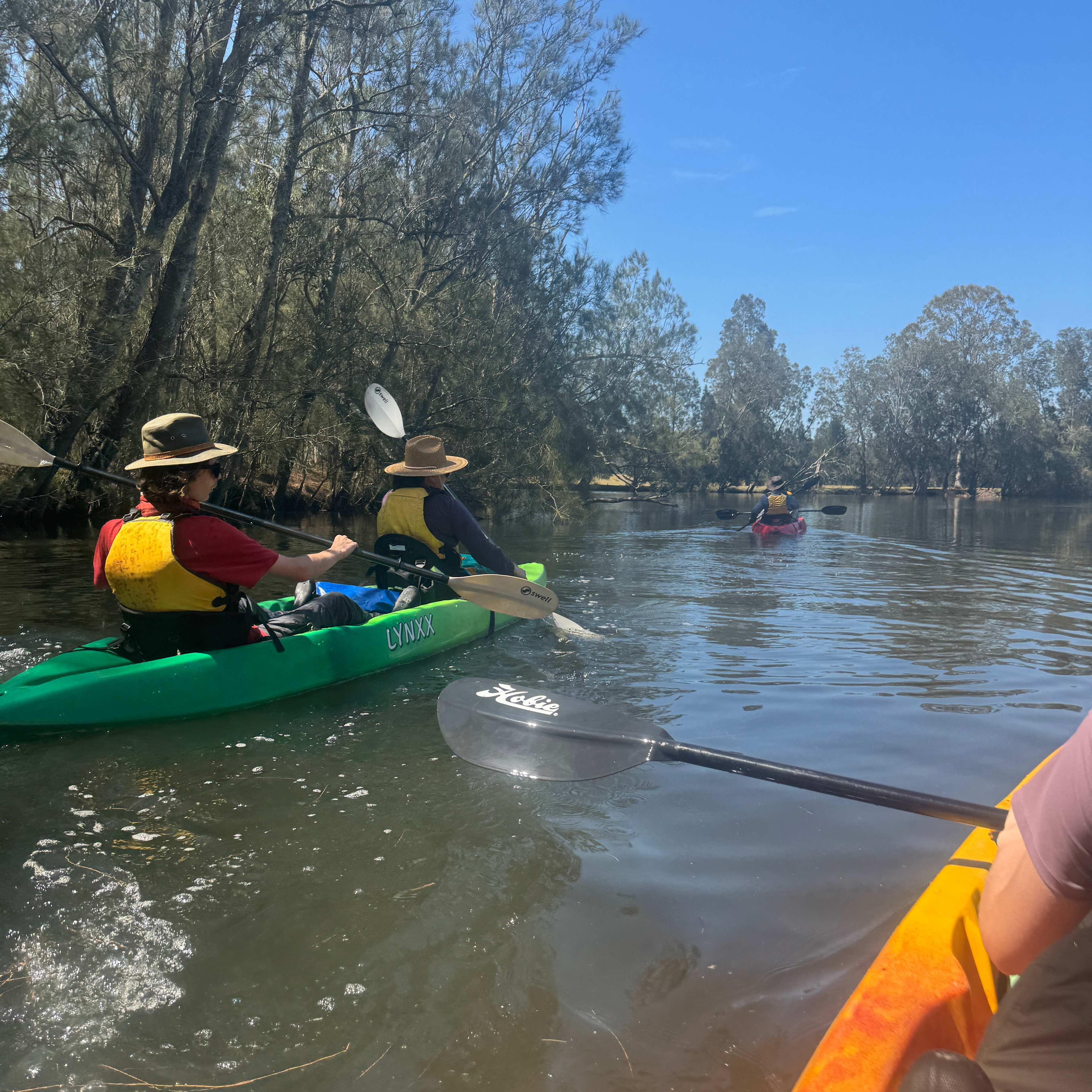 On the creek out the back of the site