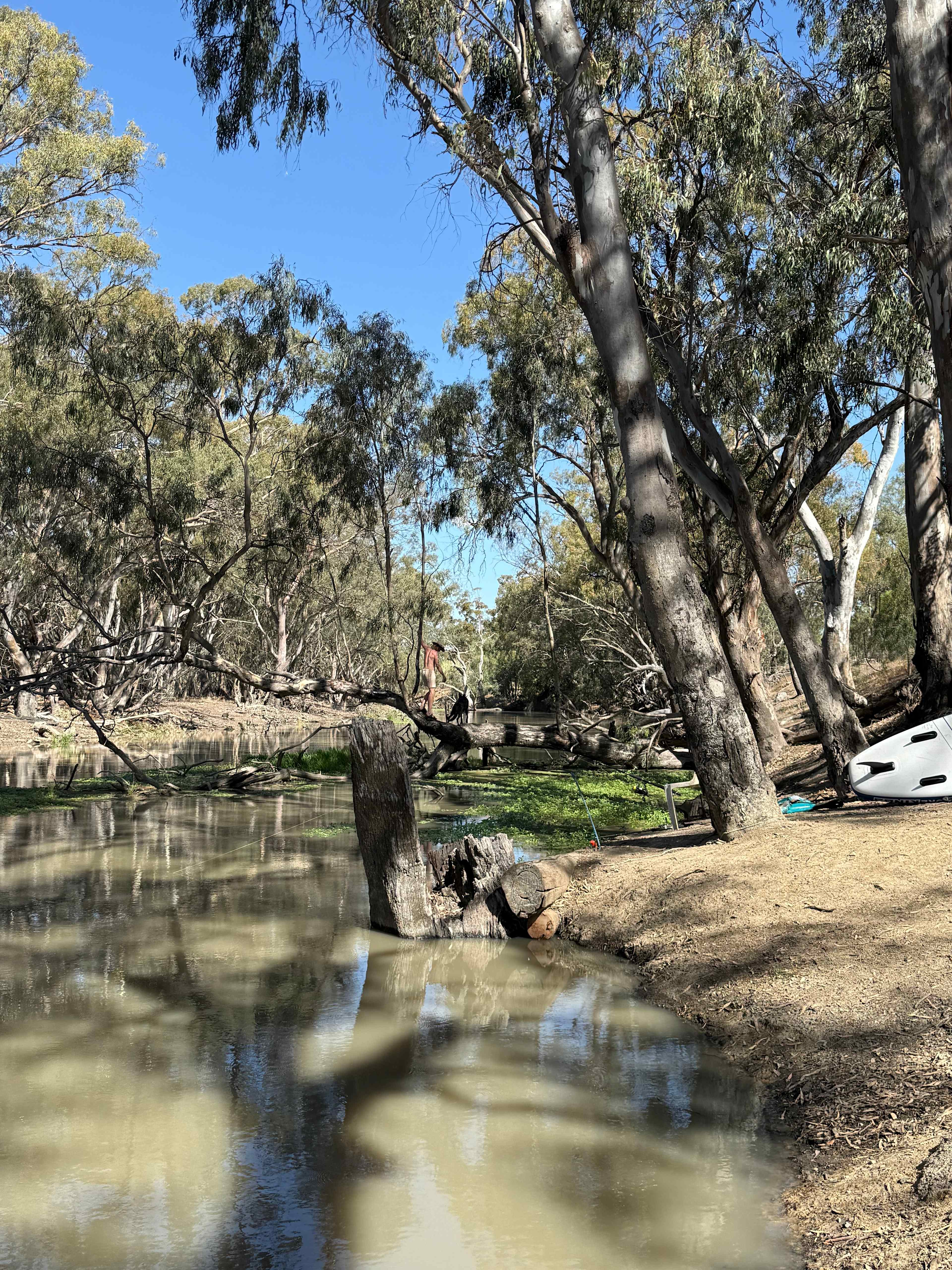 Wanganella Camp Park