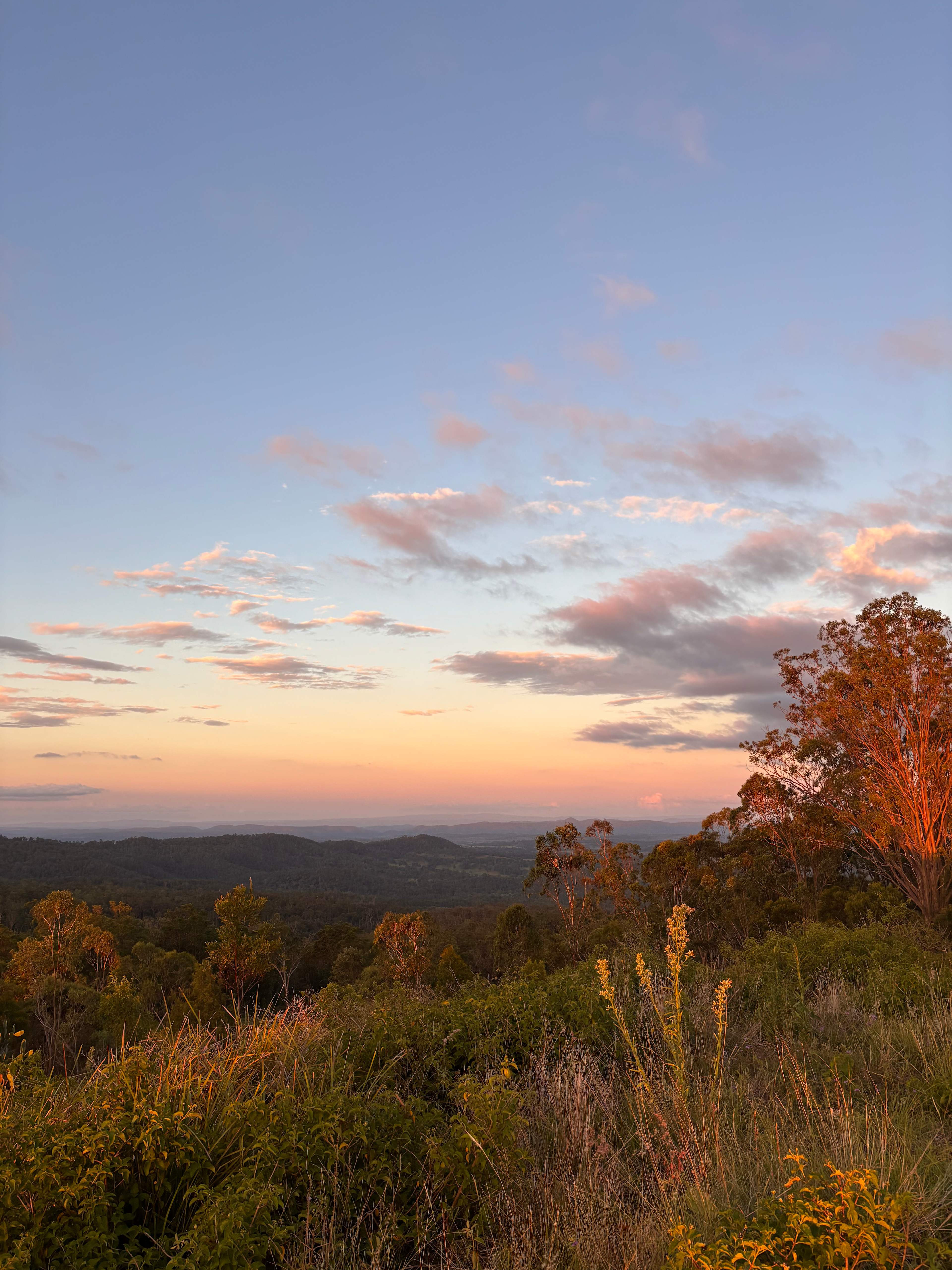 Hilltop Farm, Camping and Glamping.