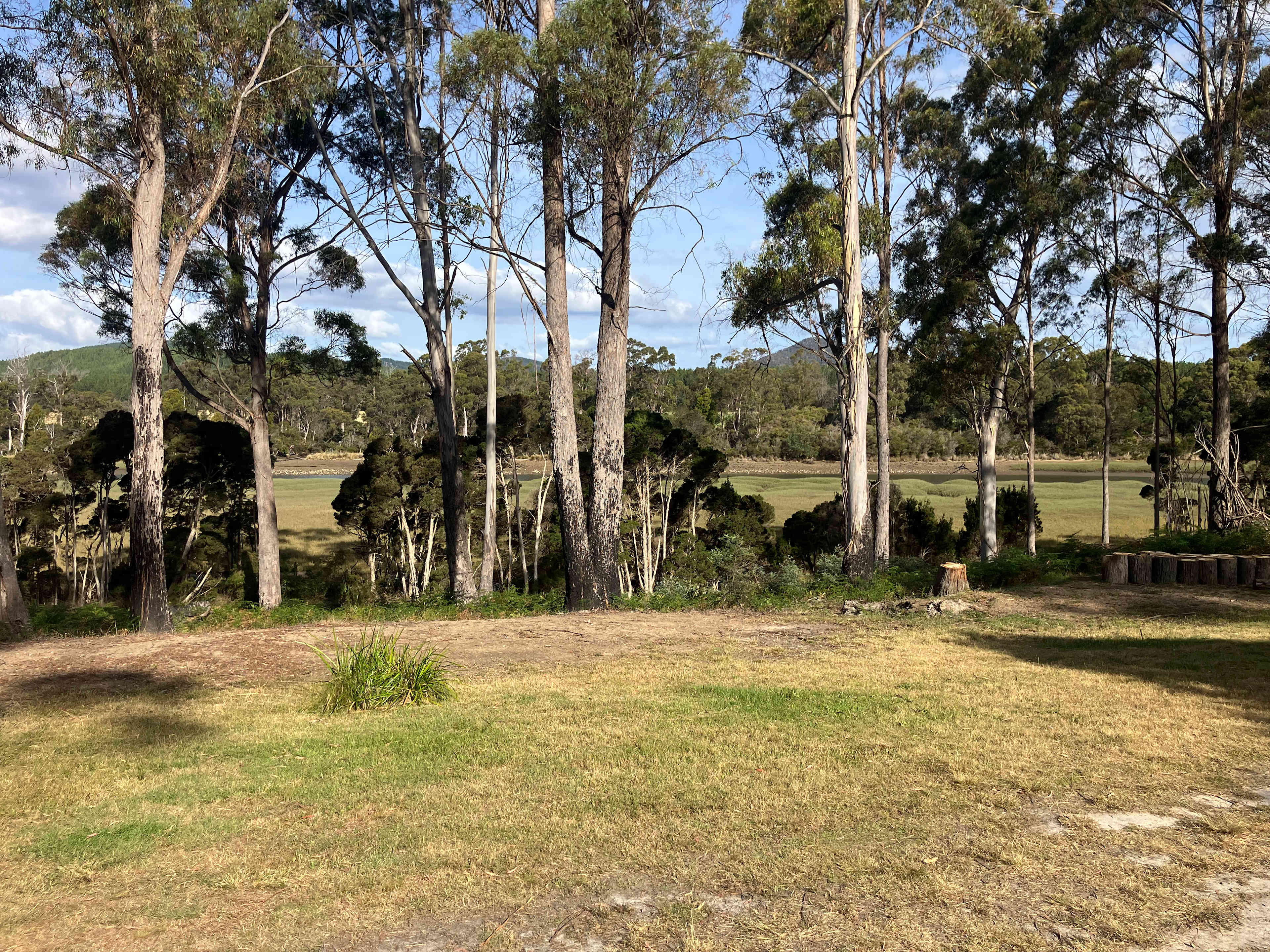 Absolutely stunning! 