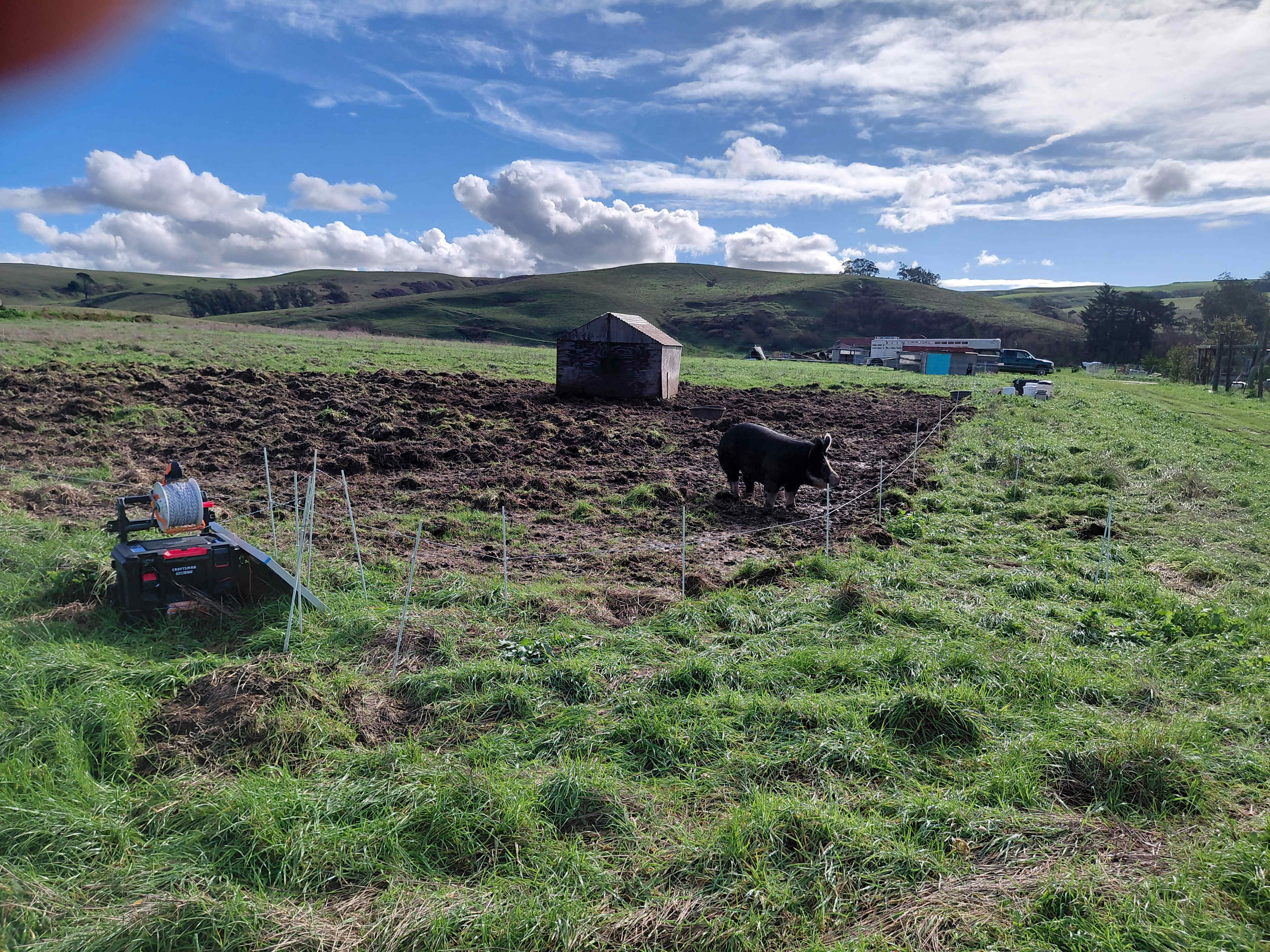 Estero San Antonio Wonderland