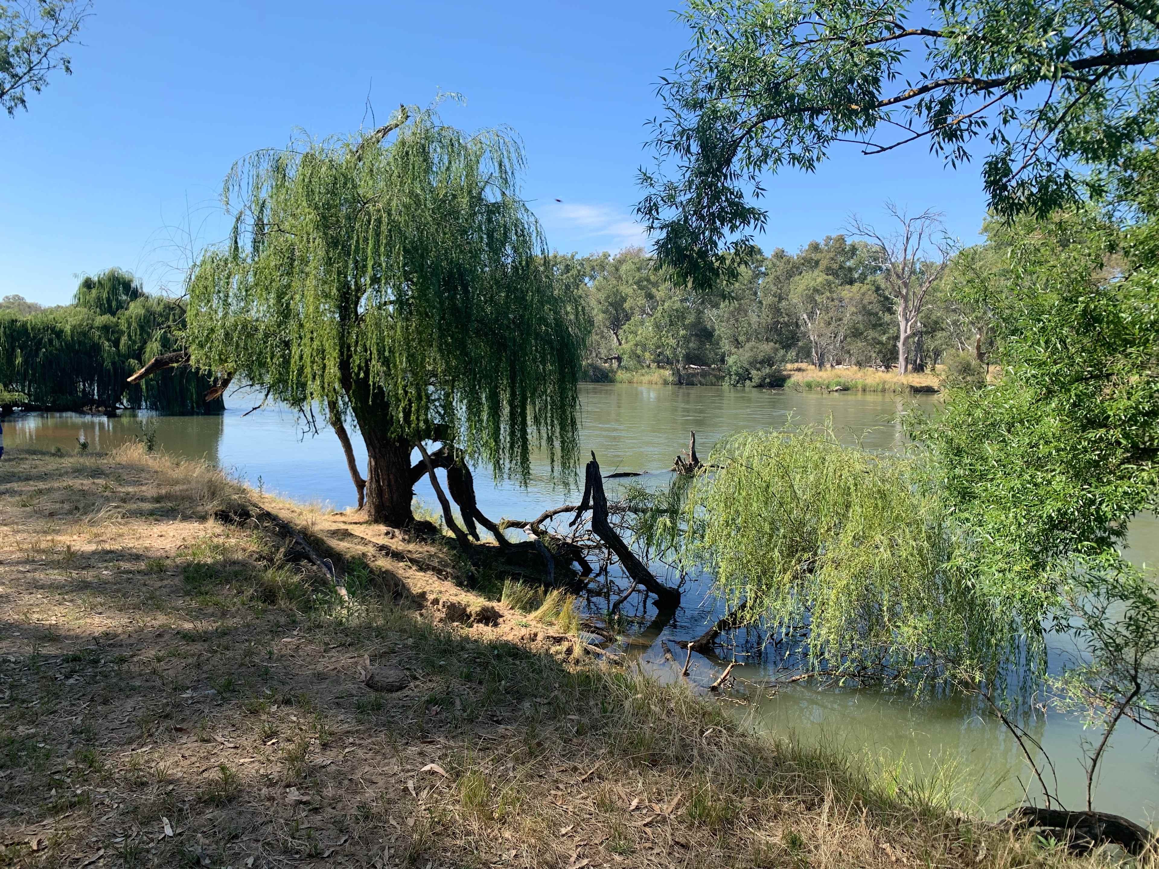 Rolling Hills & Riverside Camping