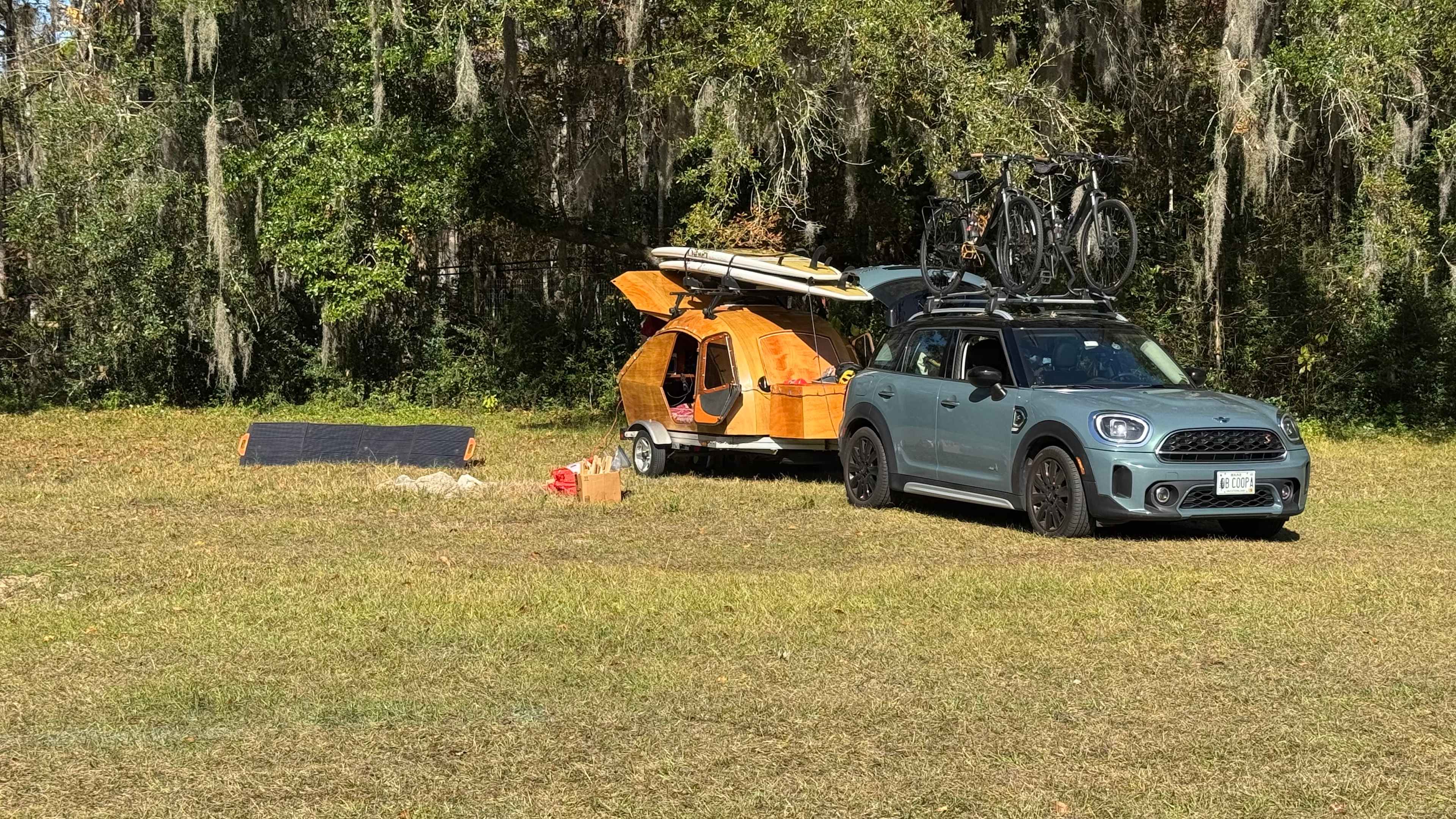 Wooded areas in a horse pasture