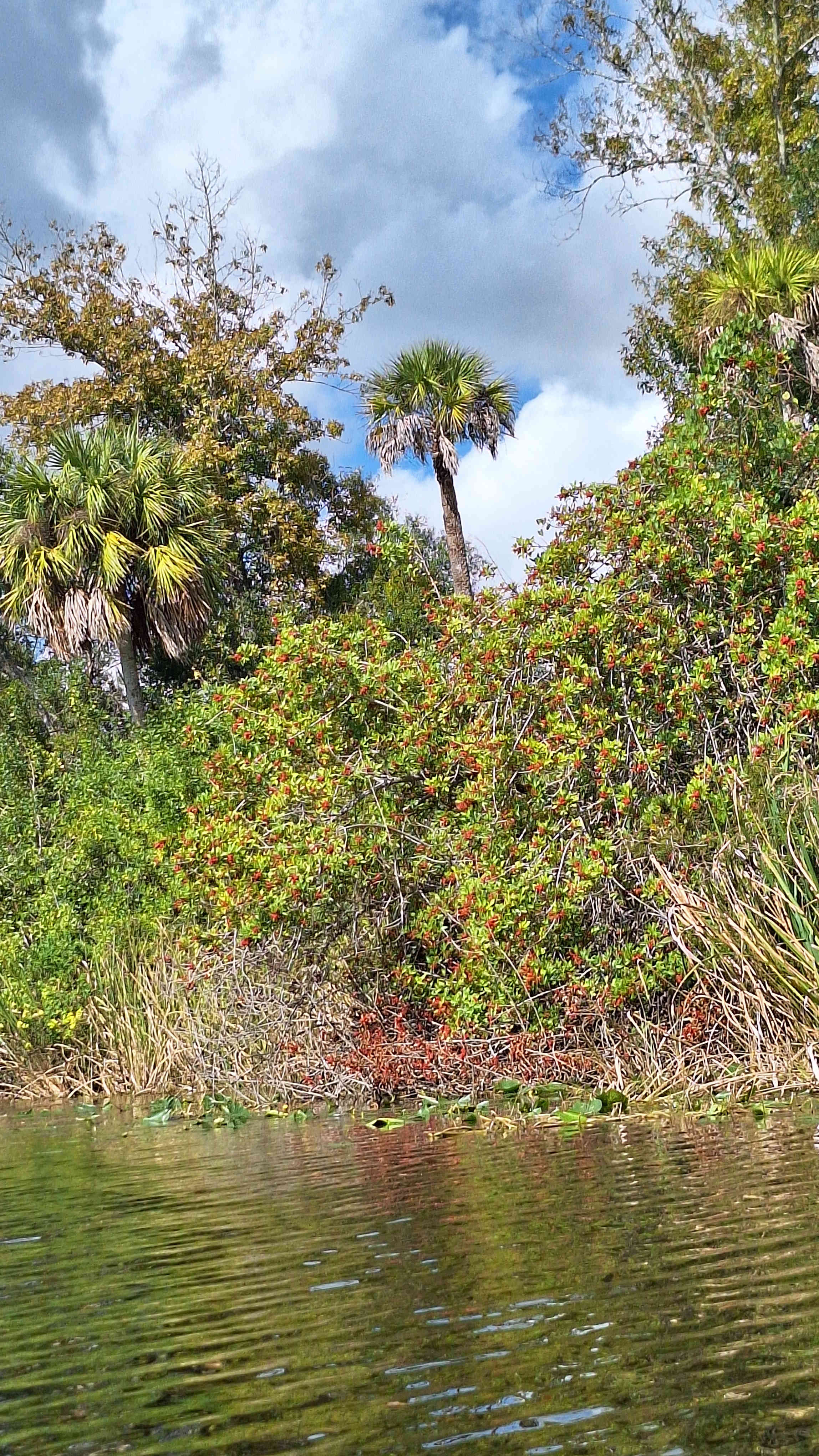 J and P Creekside Retreat