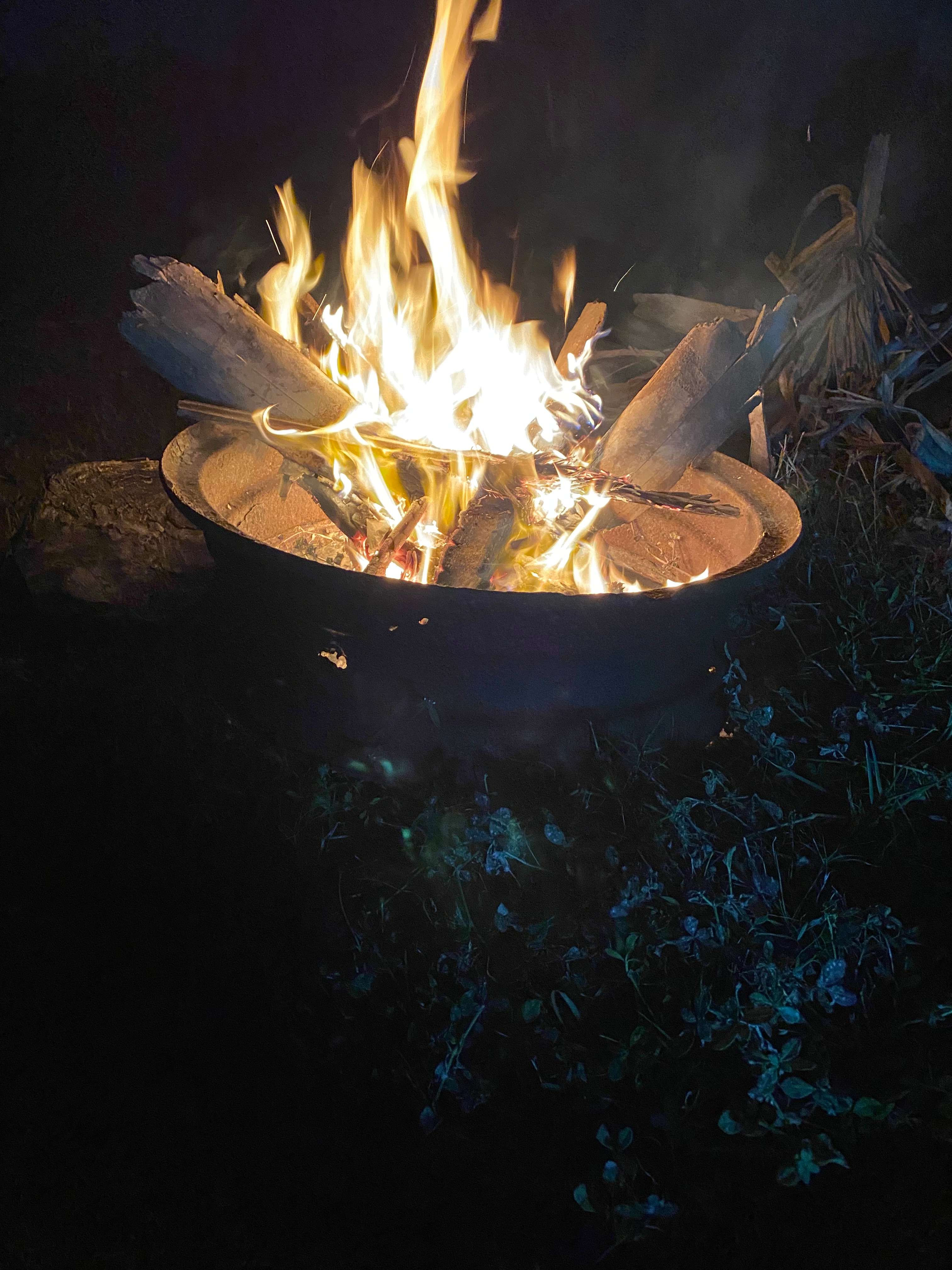 Blue Fox Ranch: Lake & Farm Camp