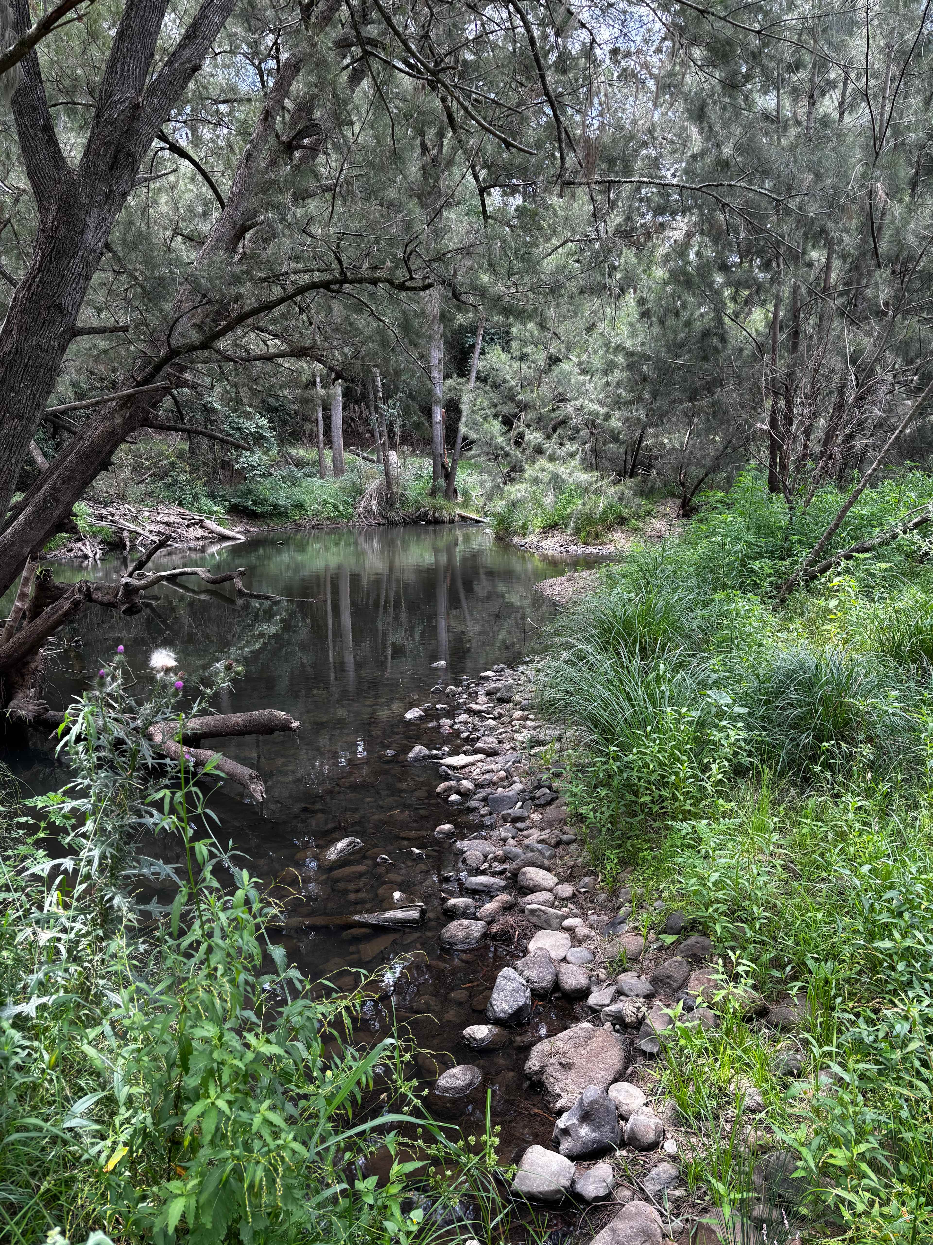 Long Crossing Camp Creek