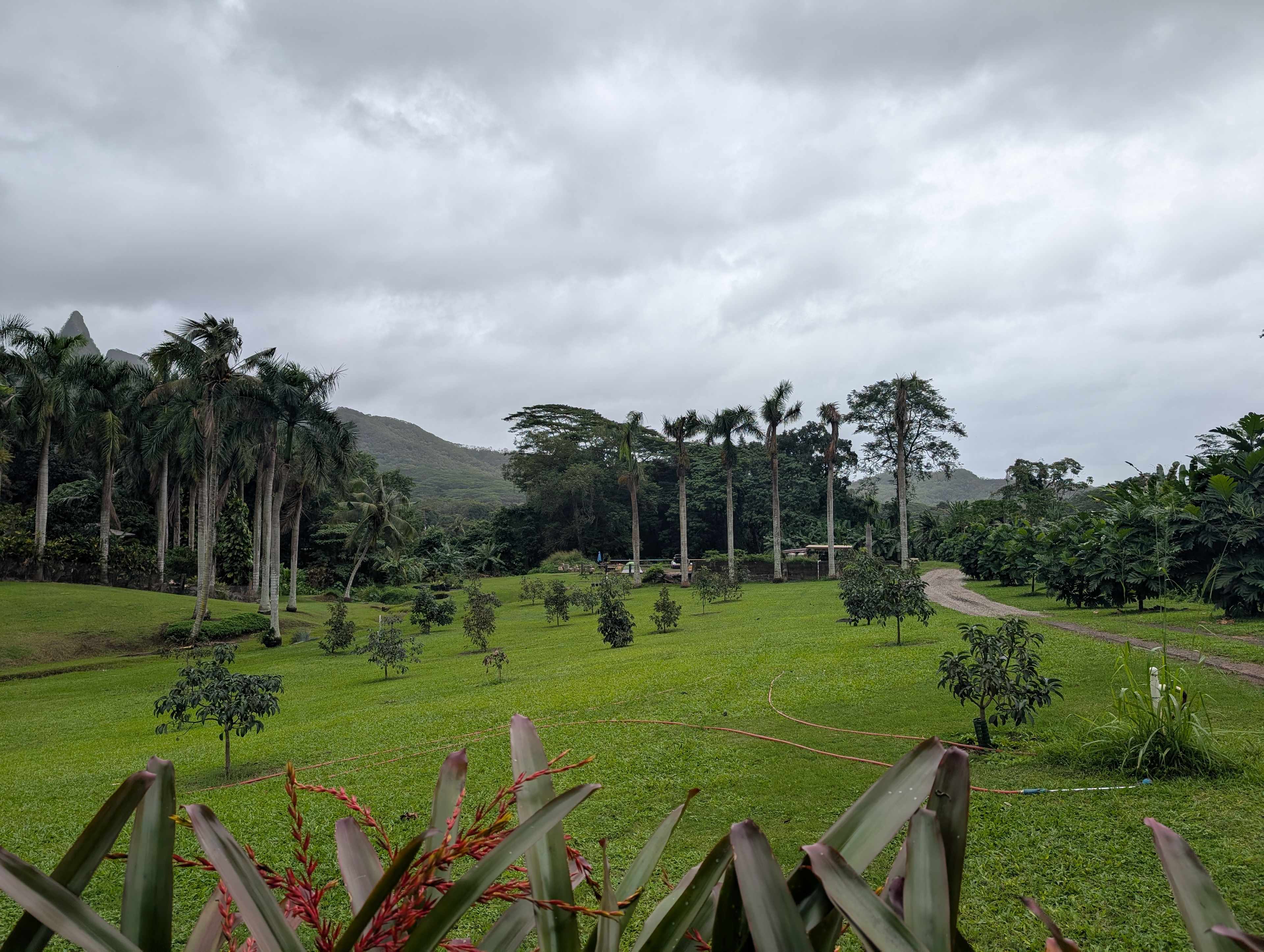 Waimanalo Farmstay