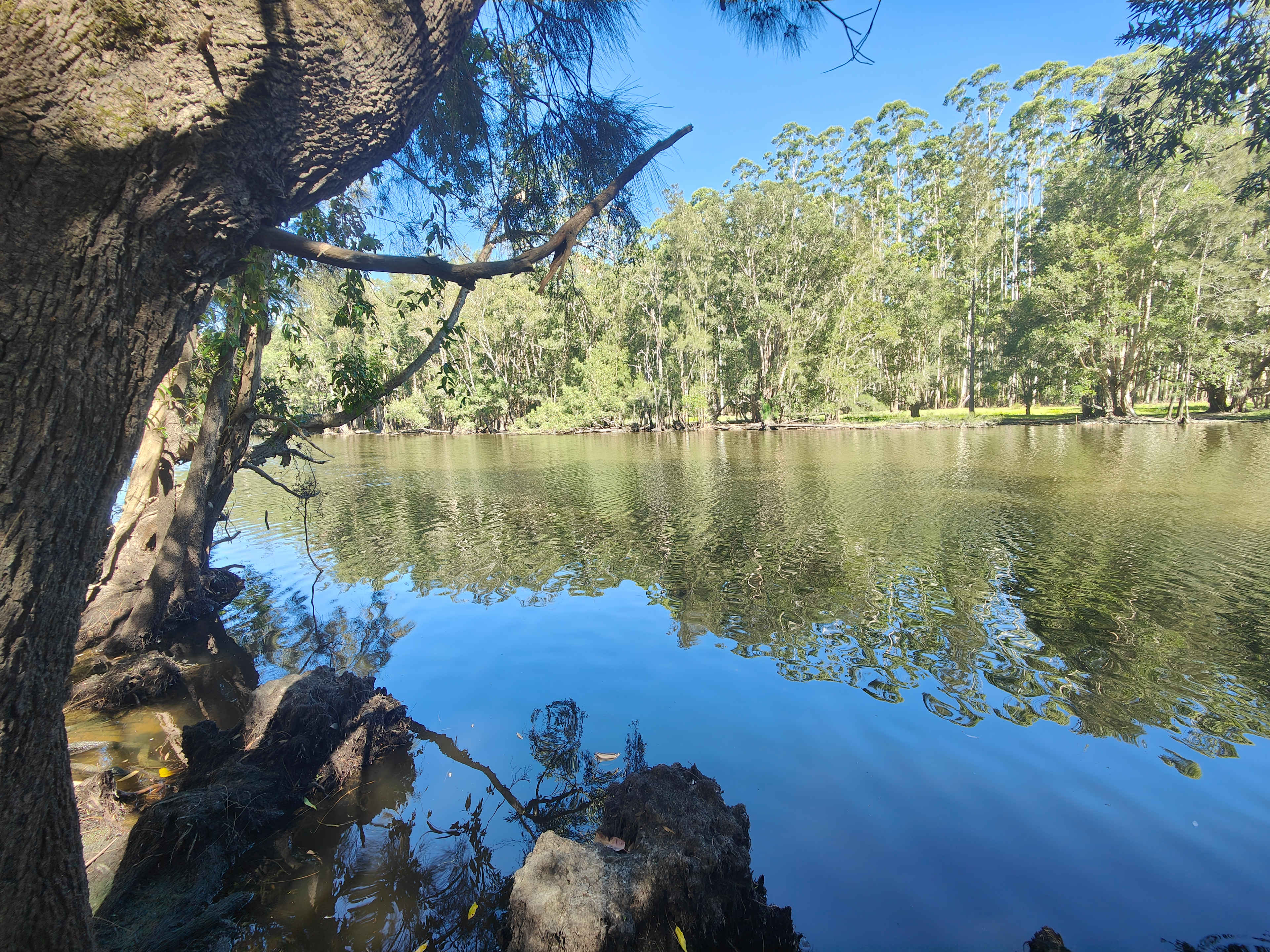 River through the bush track 