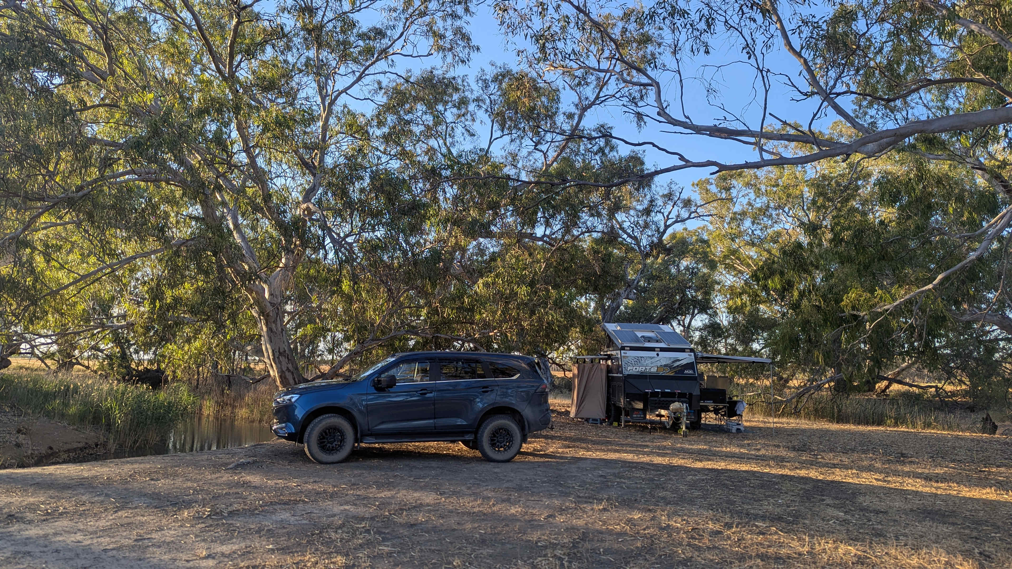Babbler's Haven   Canary Island