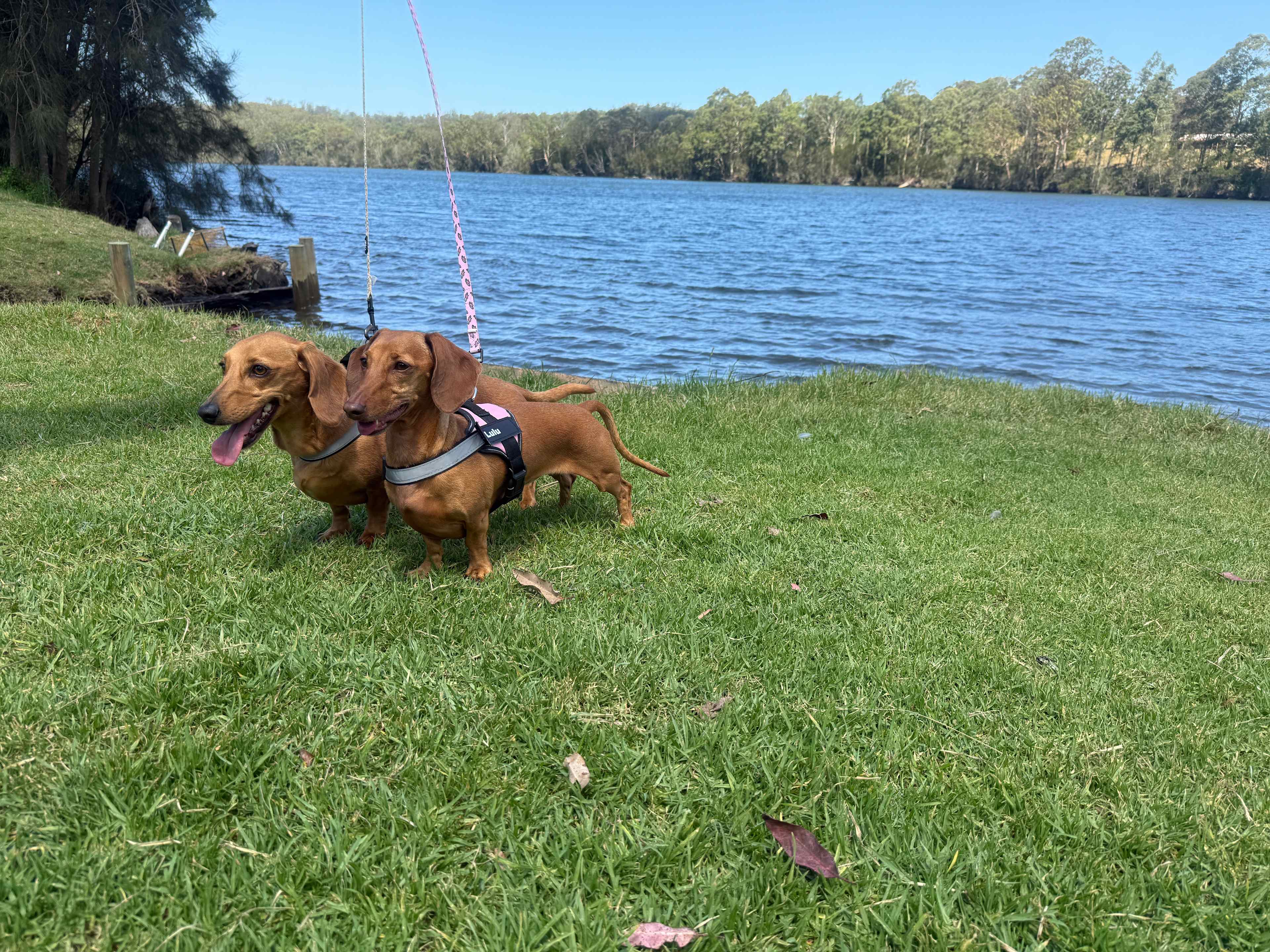 Clyde River Camp Grounds