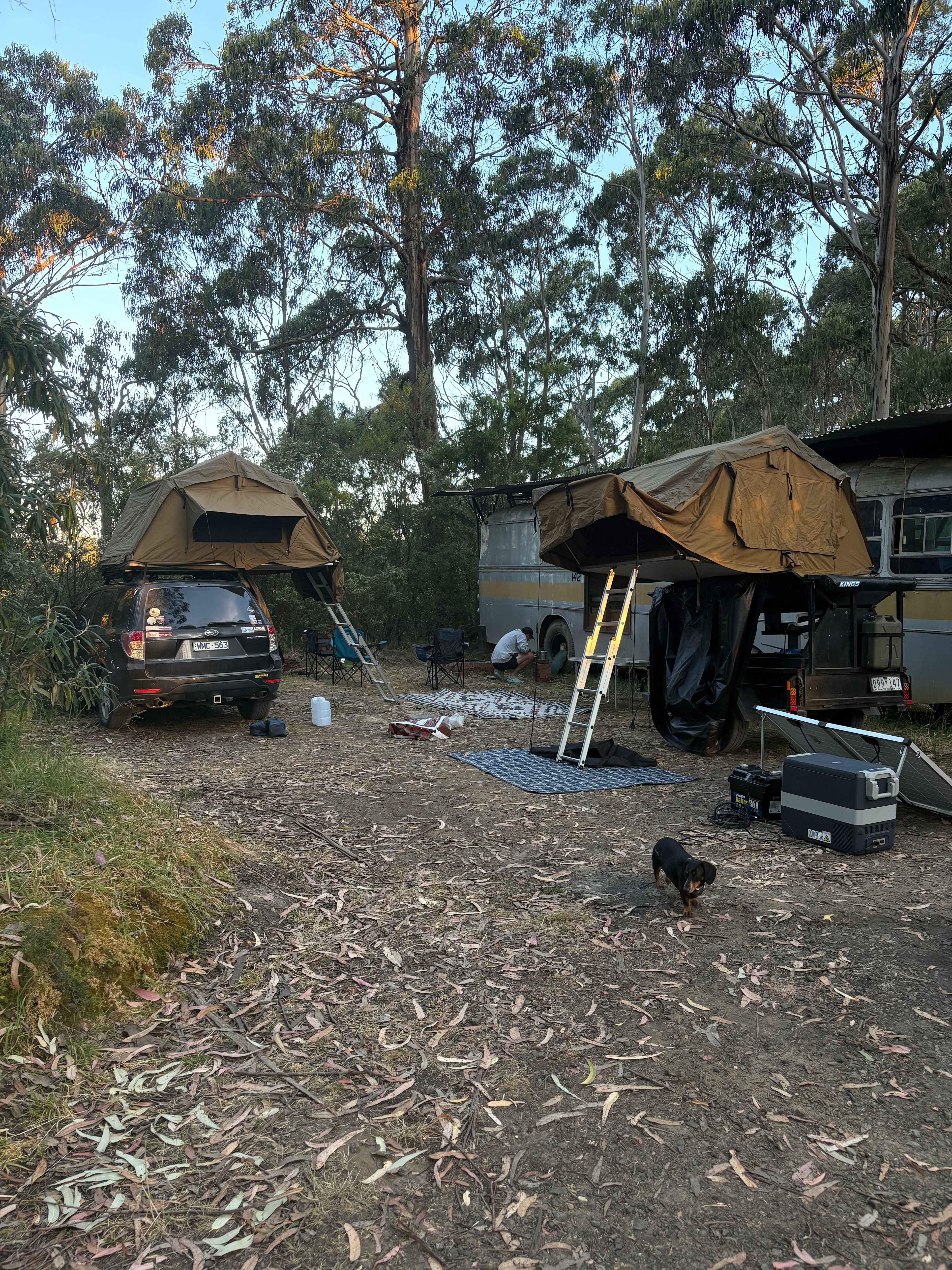 Tall Trees Otways Camp