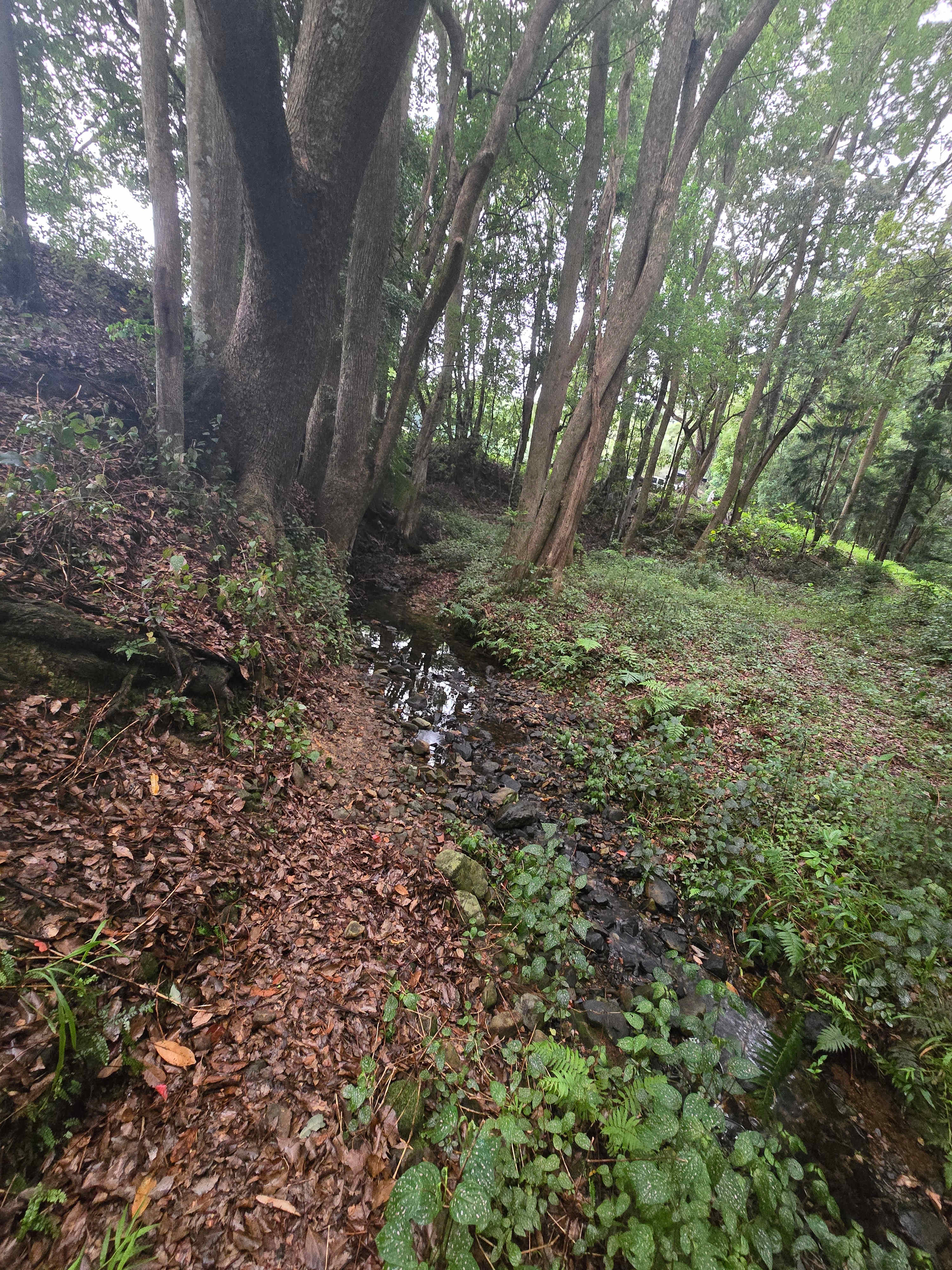 The Sleepy Hollow Manor Estate