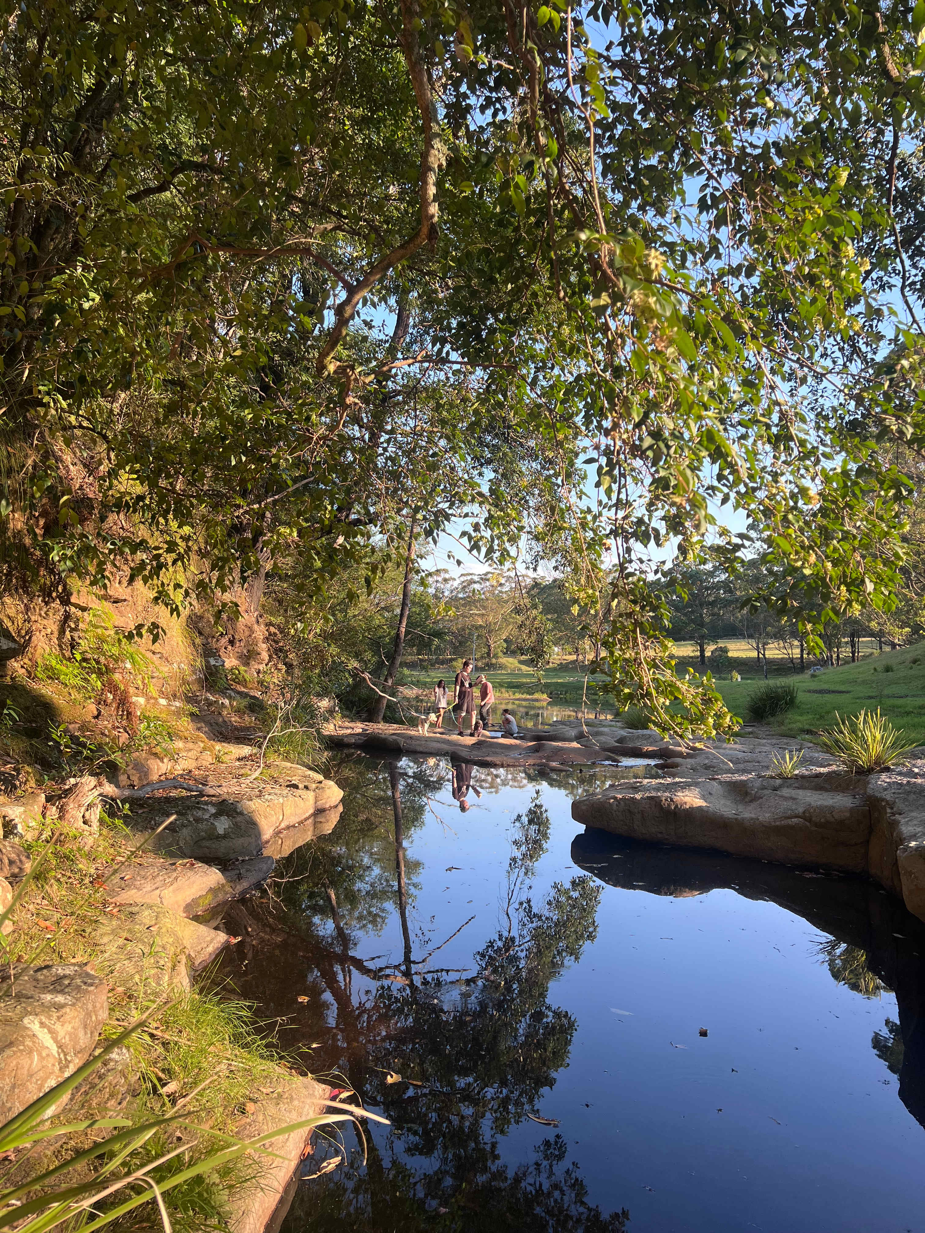 Little Forest Farmstay
