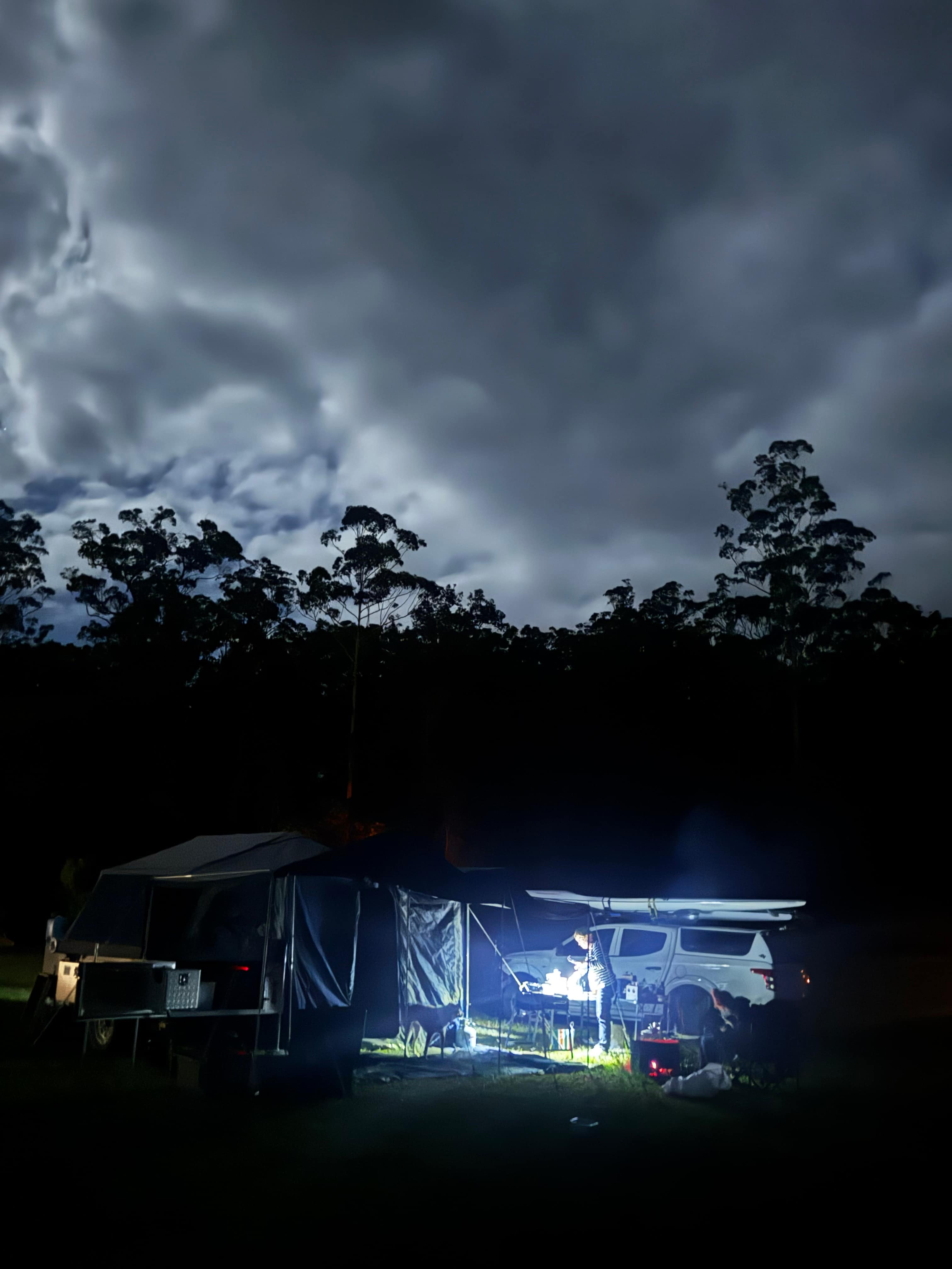 Spirit of the Forest