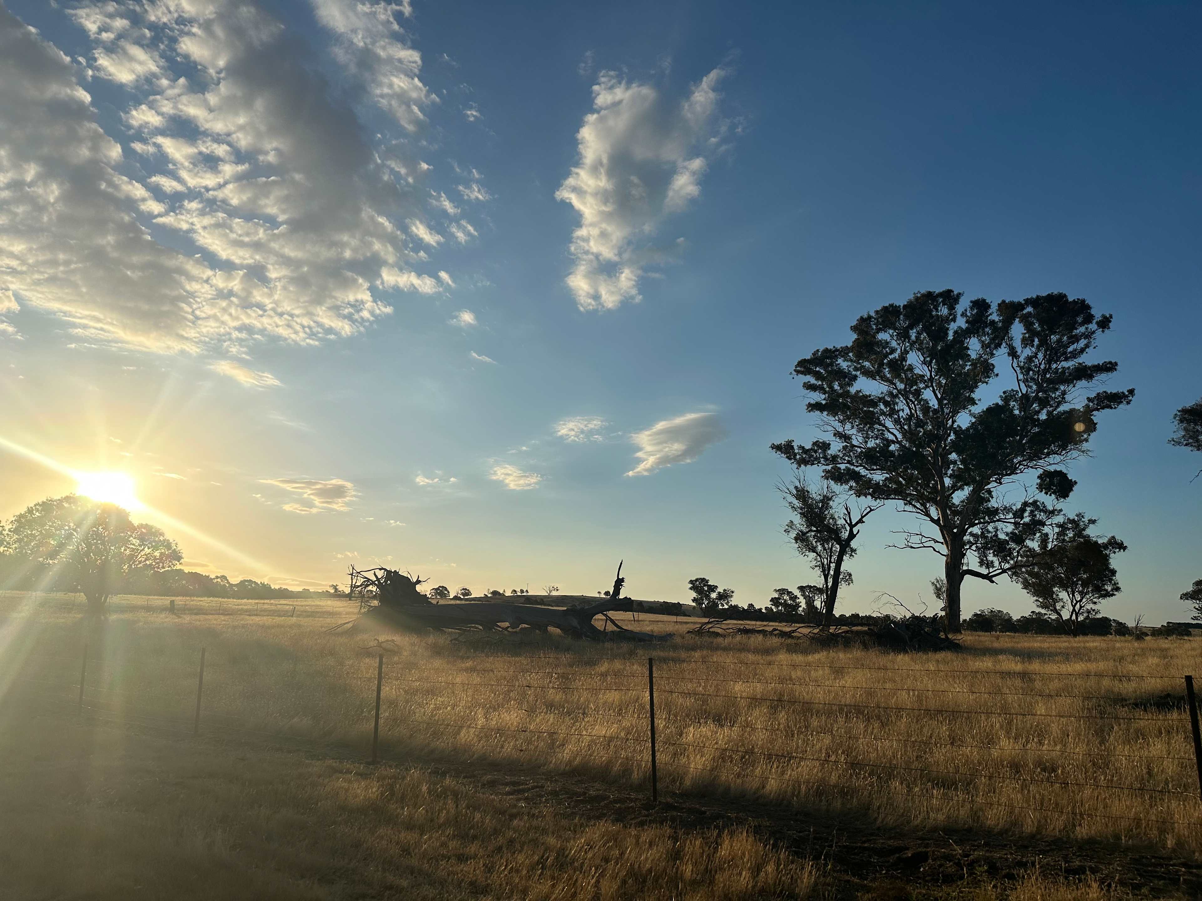 Coots Creek Campground