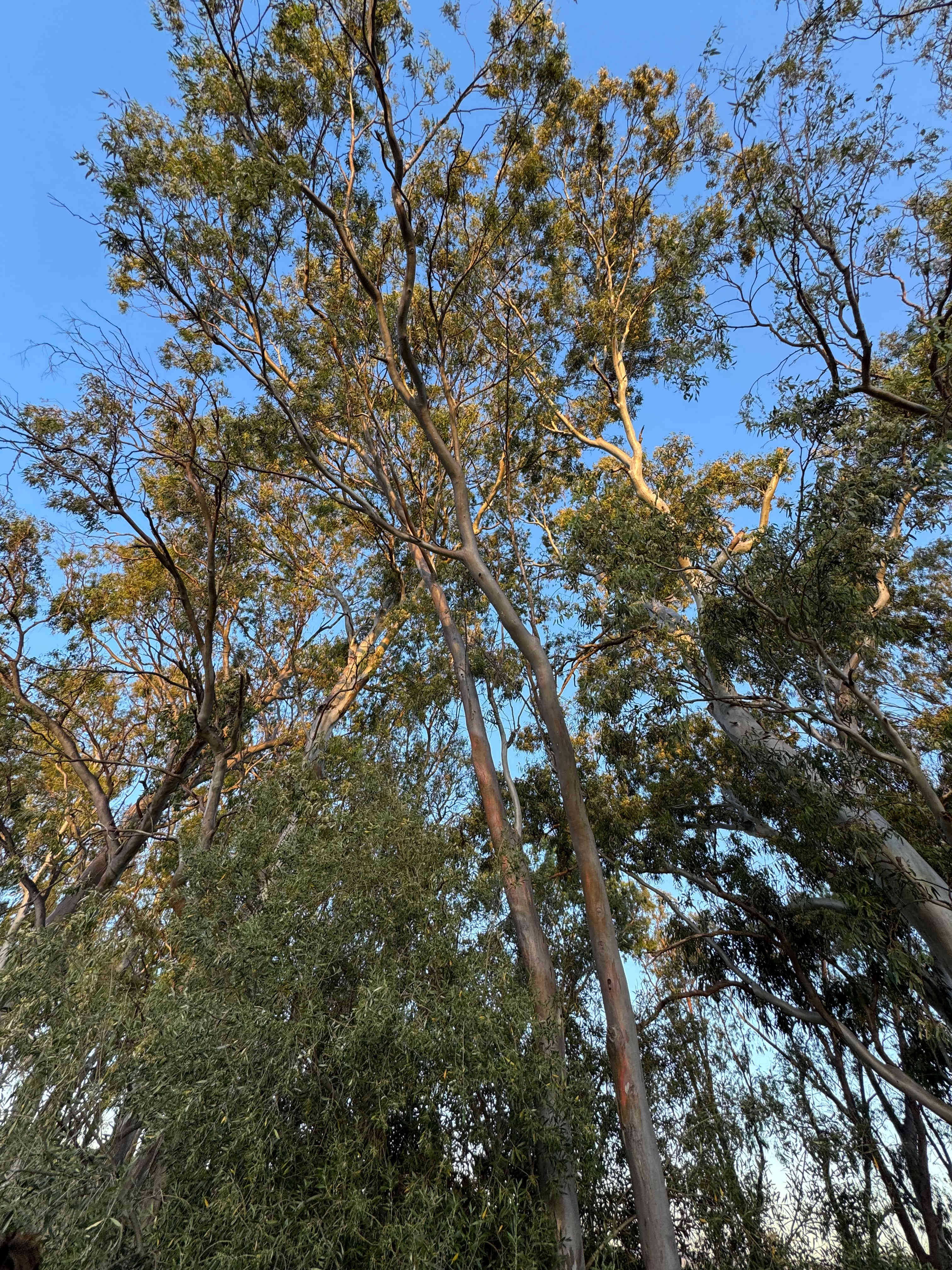 God’s Hill Wines & Ennia Cucina