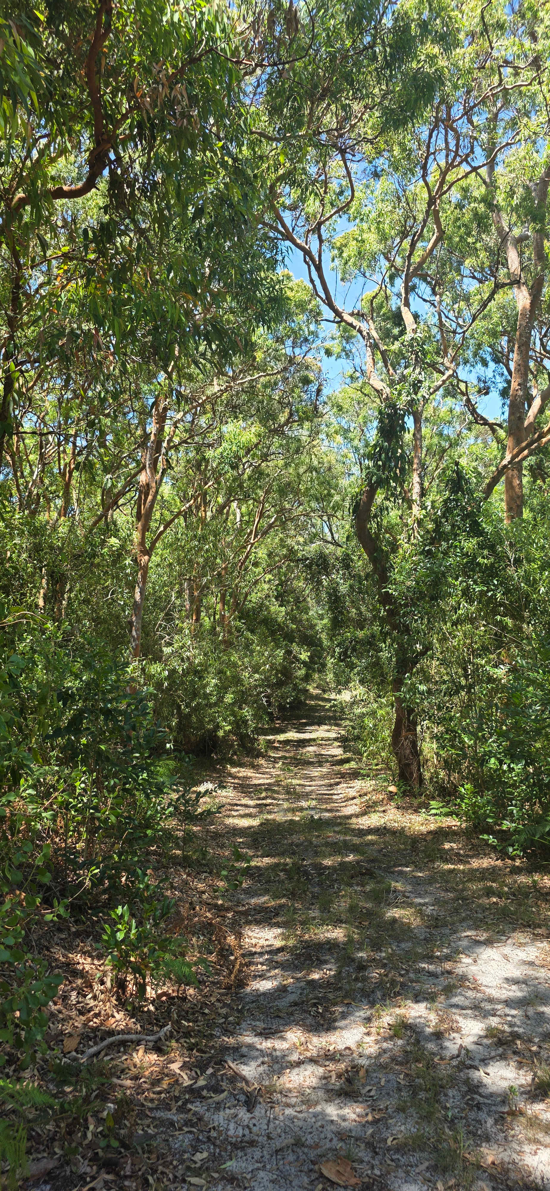 Iggys Haven @ Anna Bay