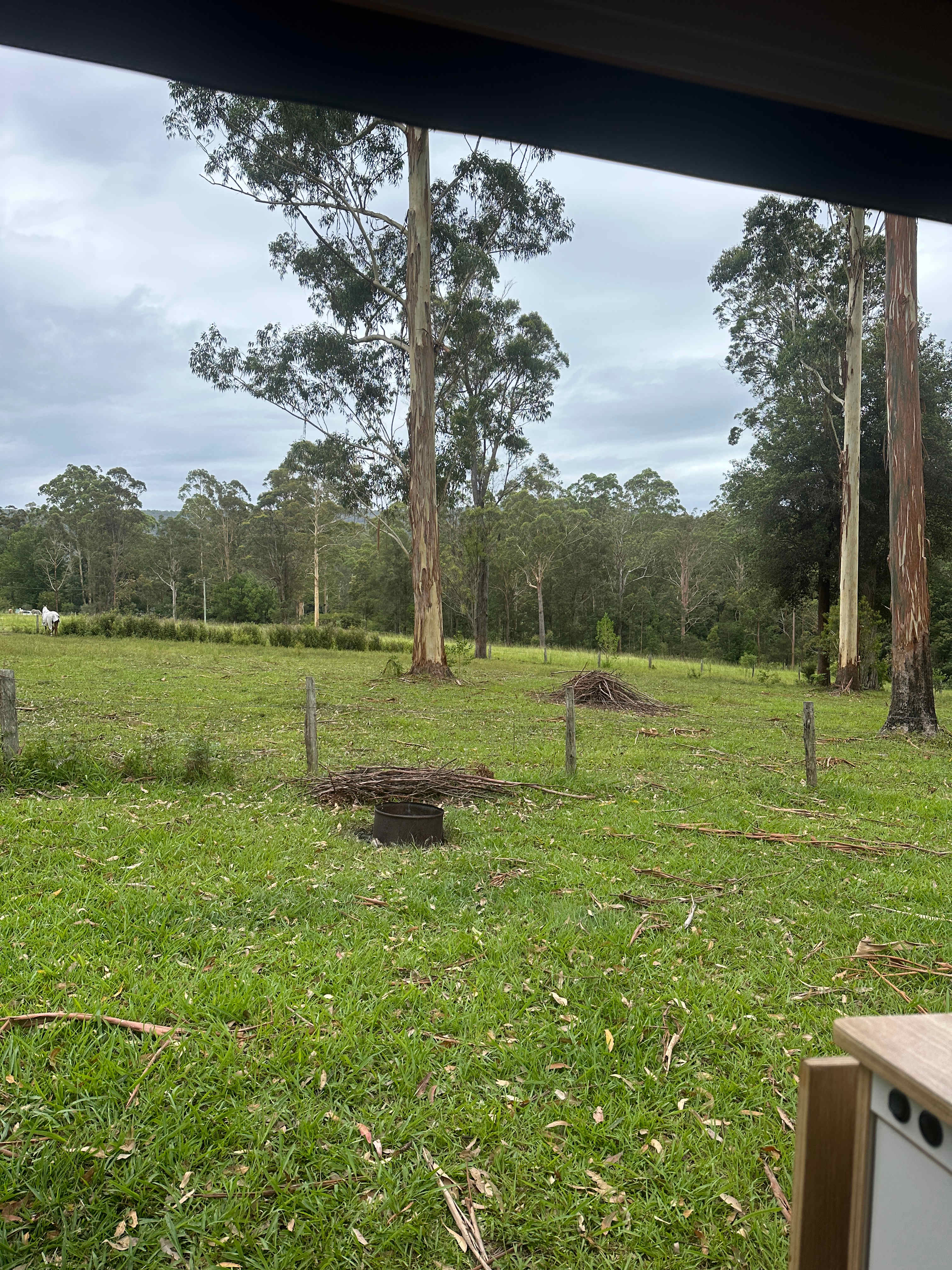 Coffs Harbour Camping & Farmstay