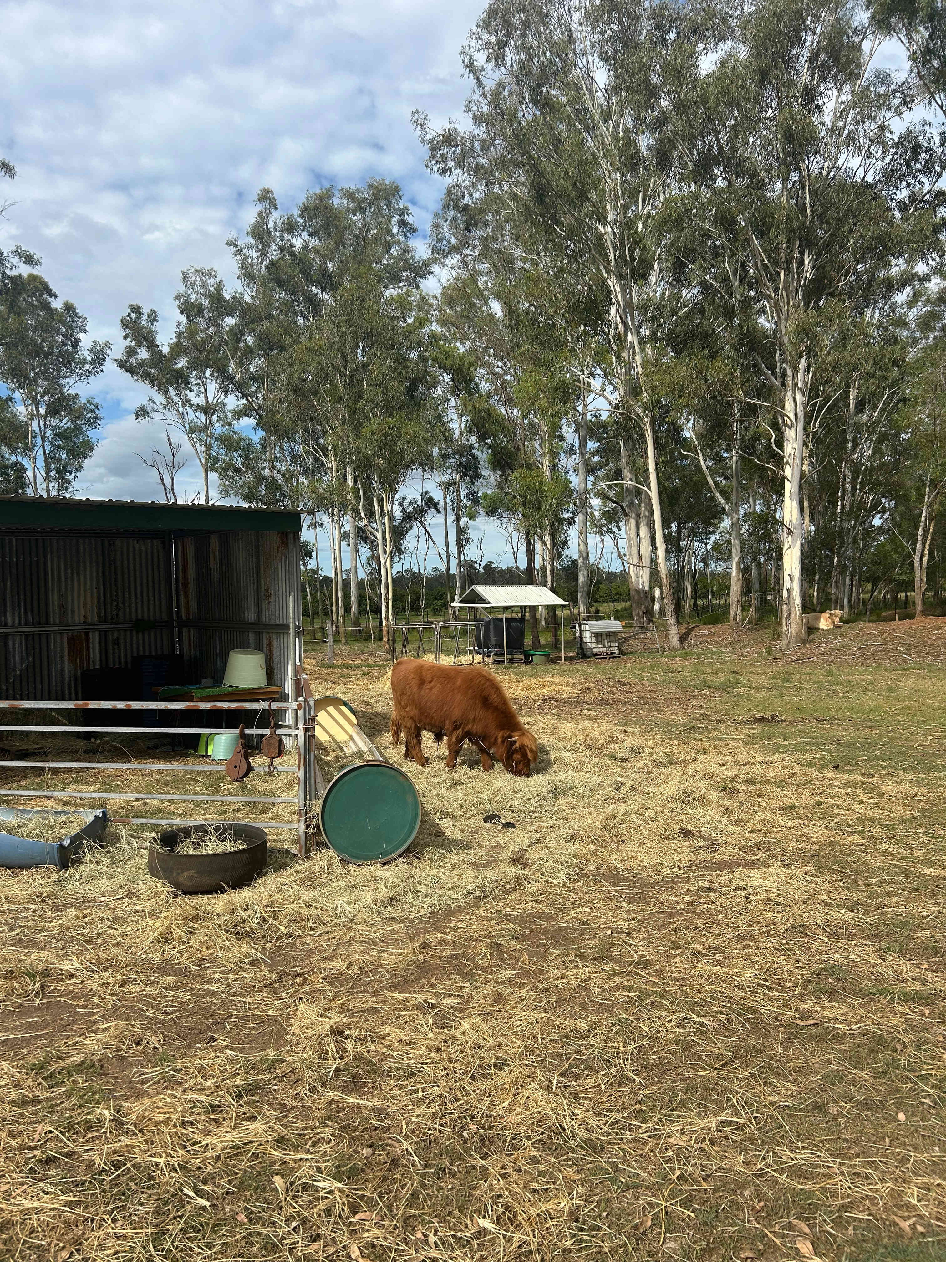 Gumtree Dam Highlands