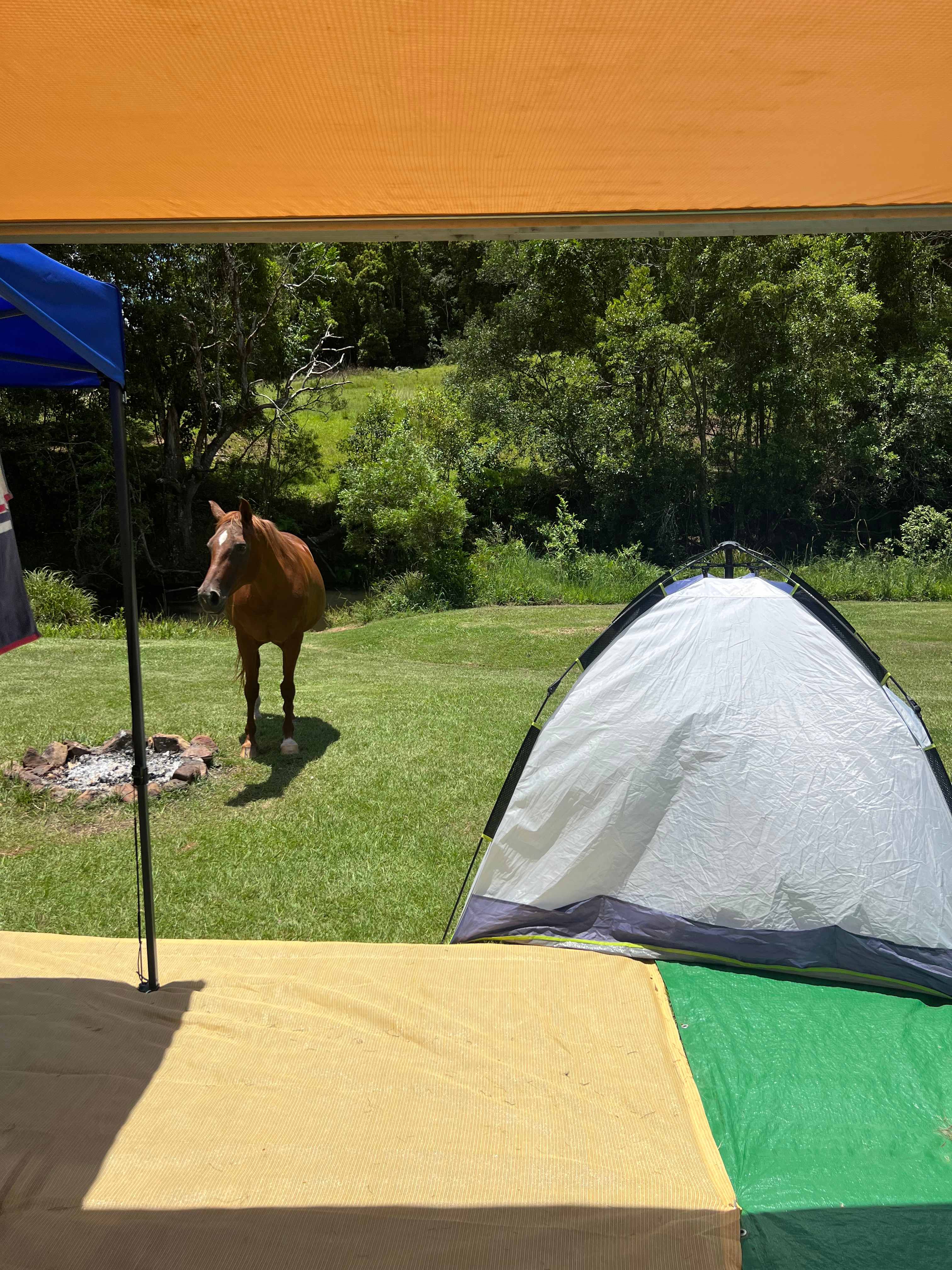 Rowlands Creek Camp Area