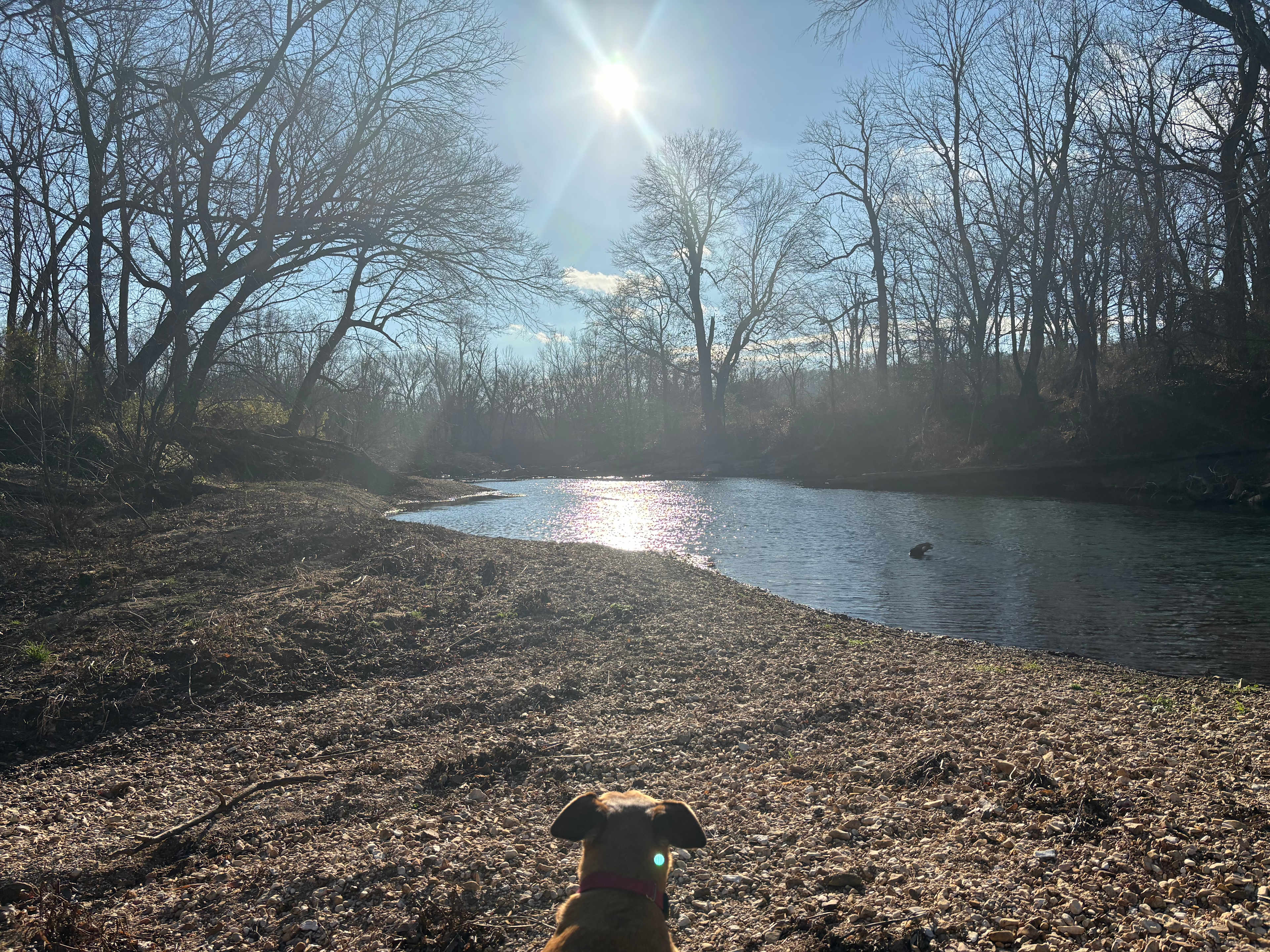 Illinois River Paradise | 60 Acres