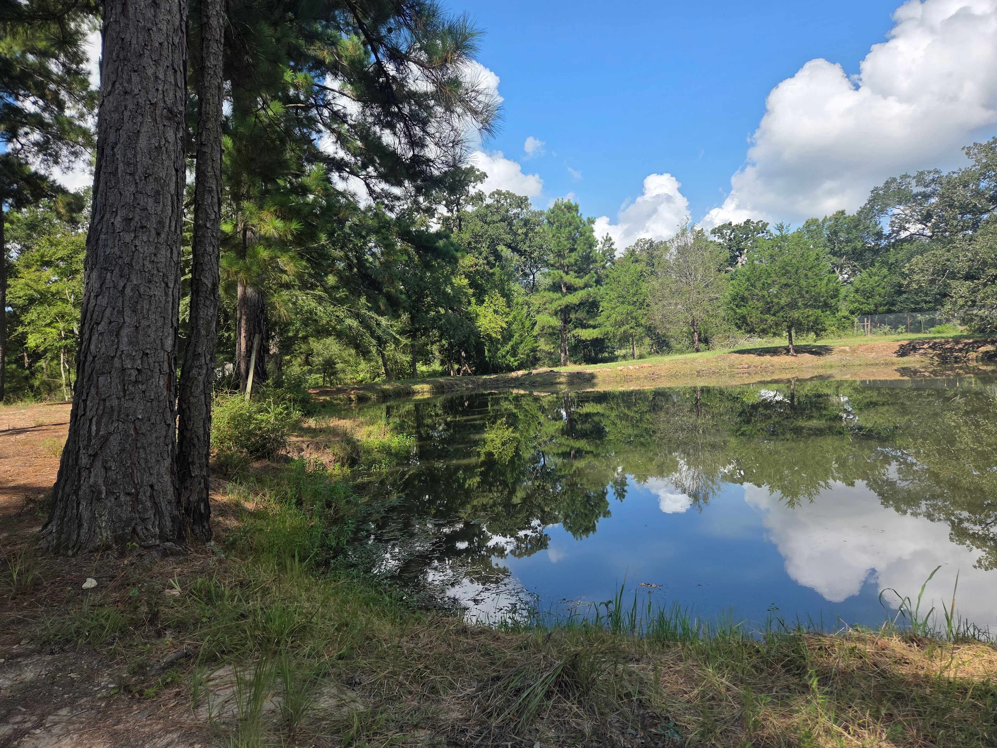 Earthly Primitive Camping