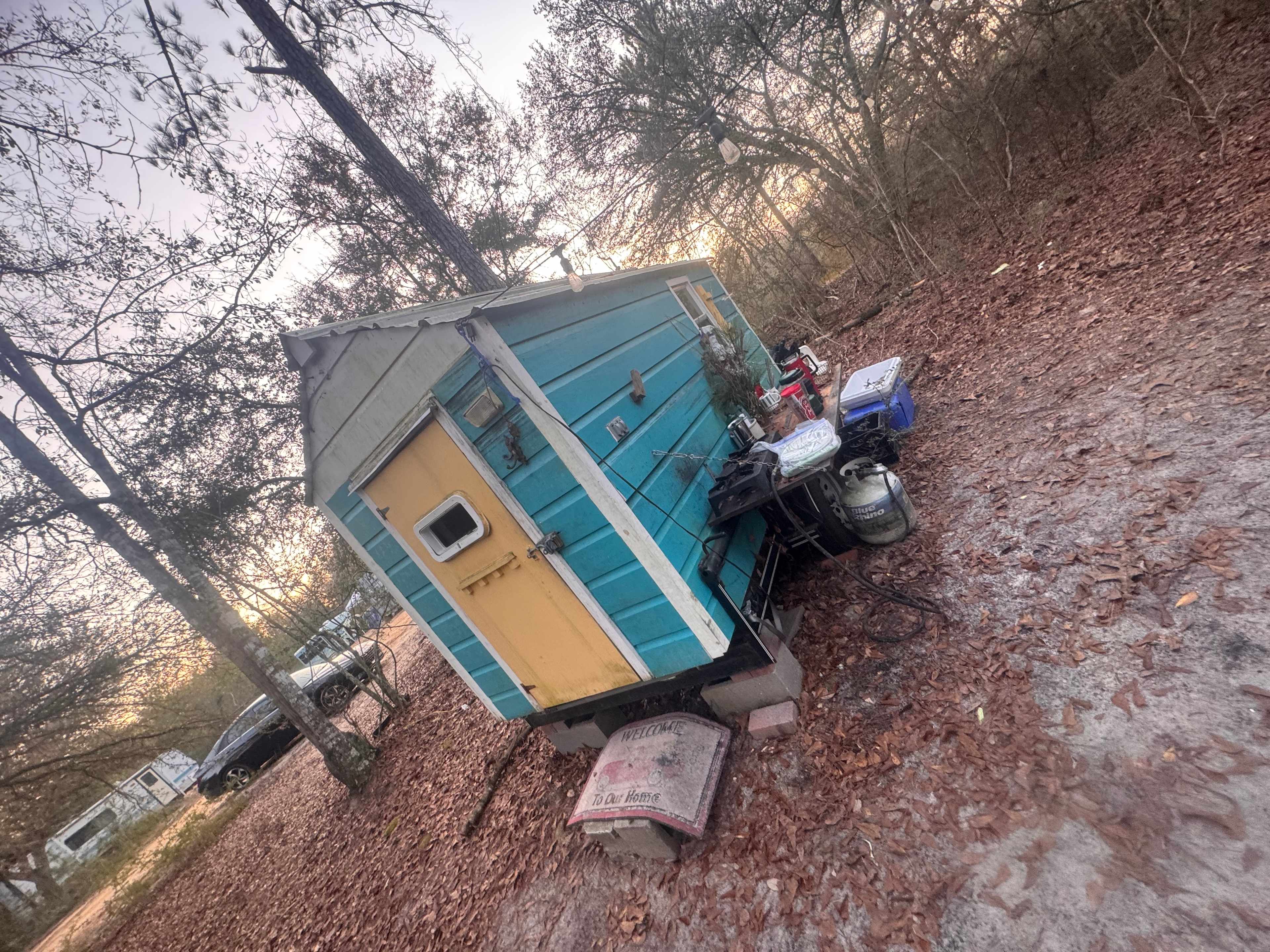 All You Need Institute