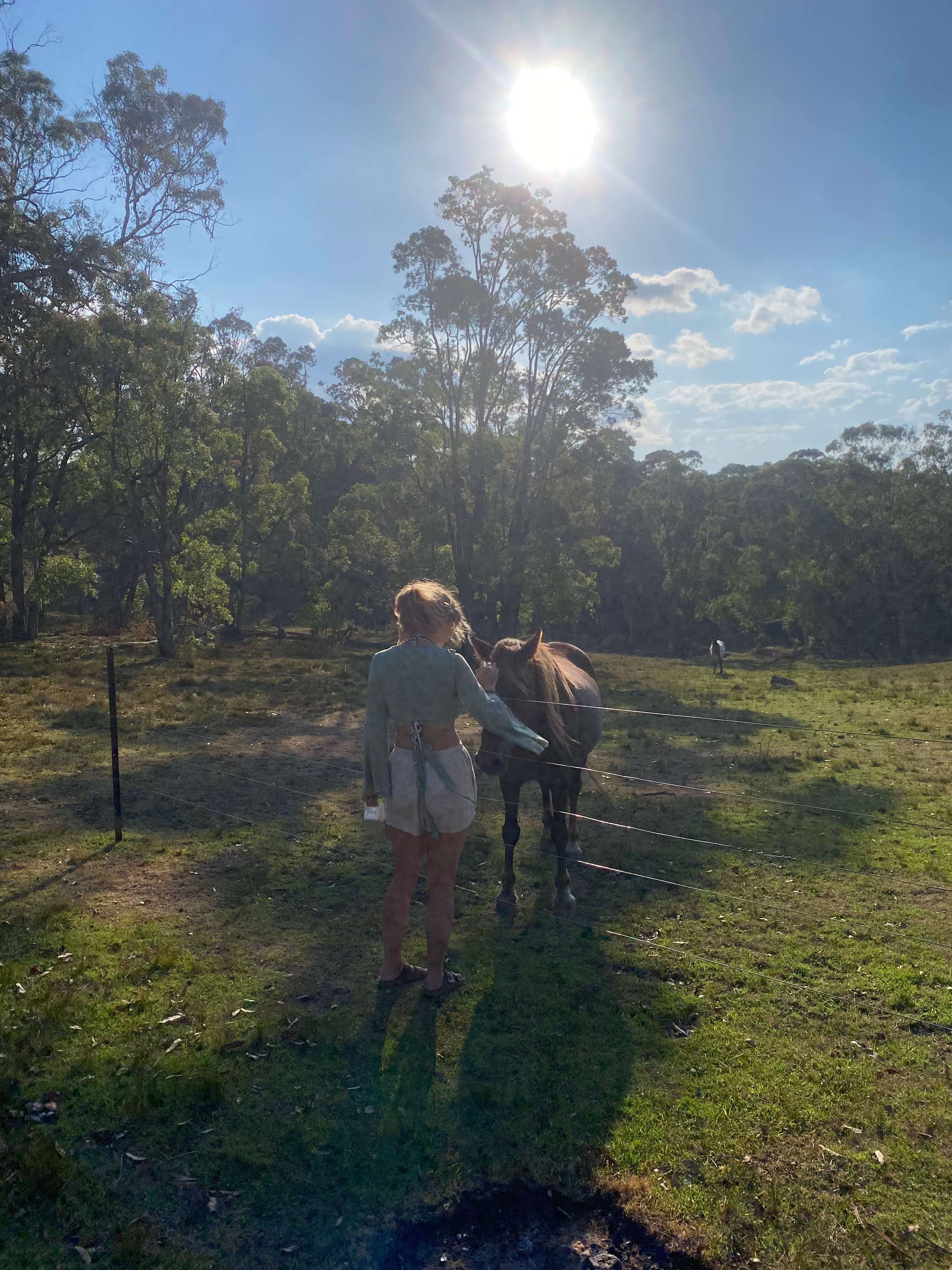 Megalong Valley Farm