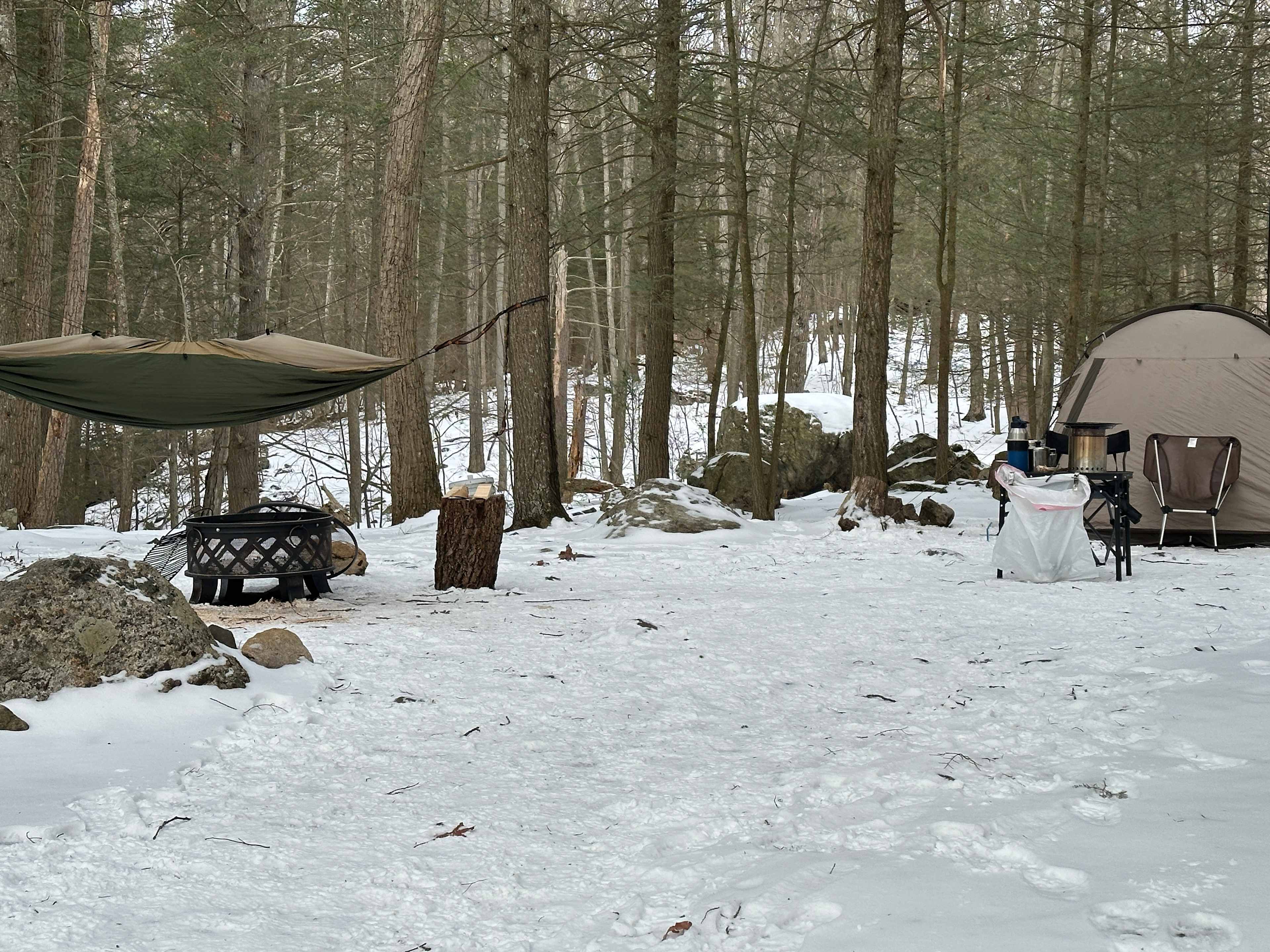 Paradise Valley Homestead