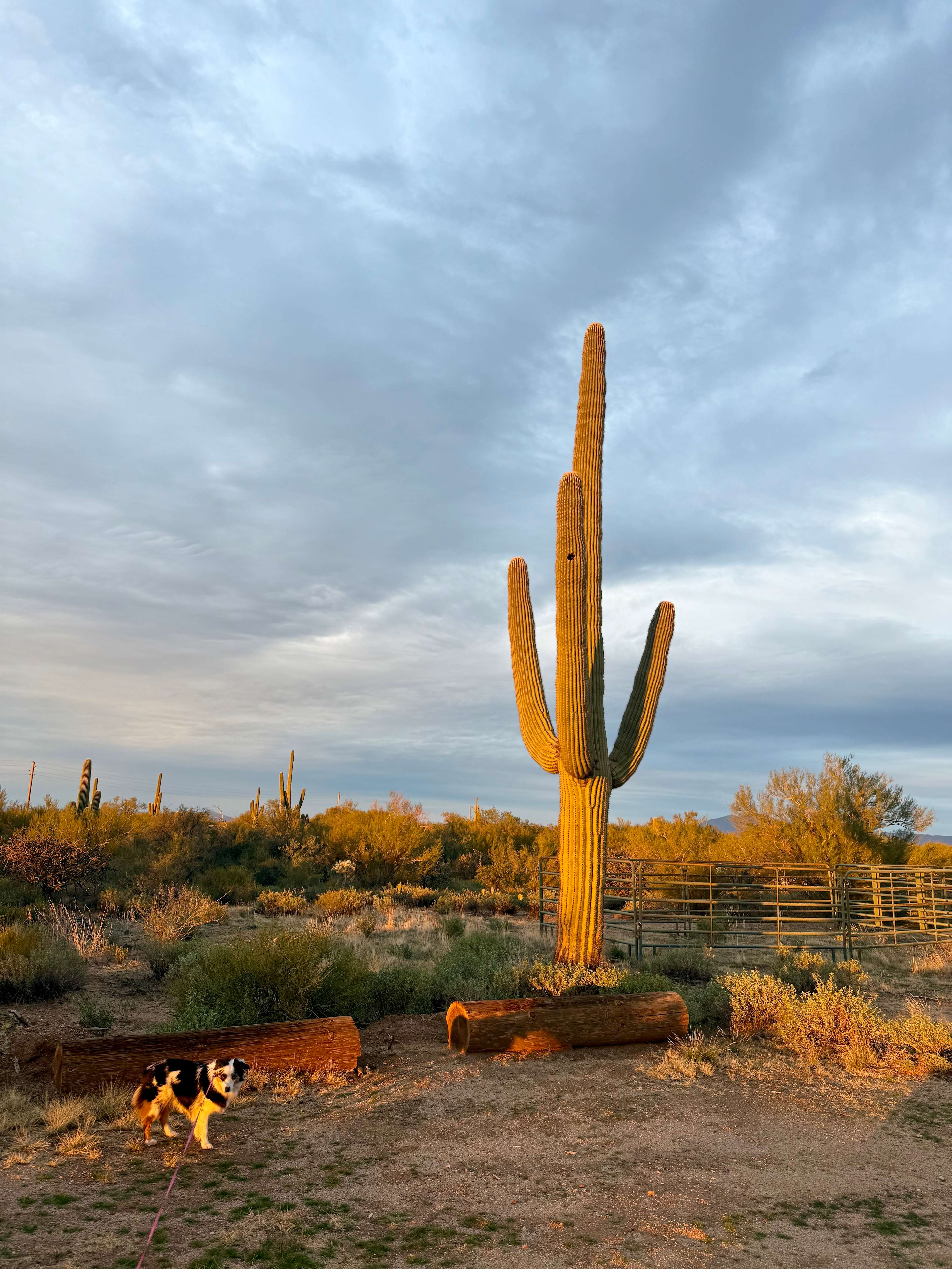Weary Traveler Haven