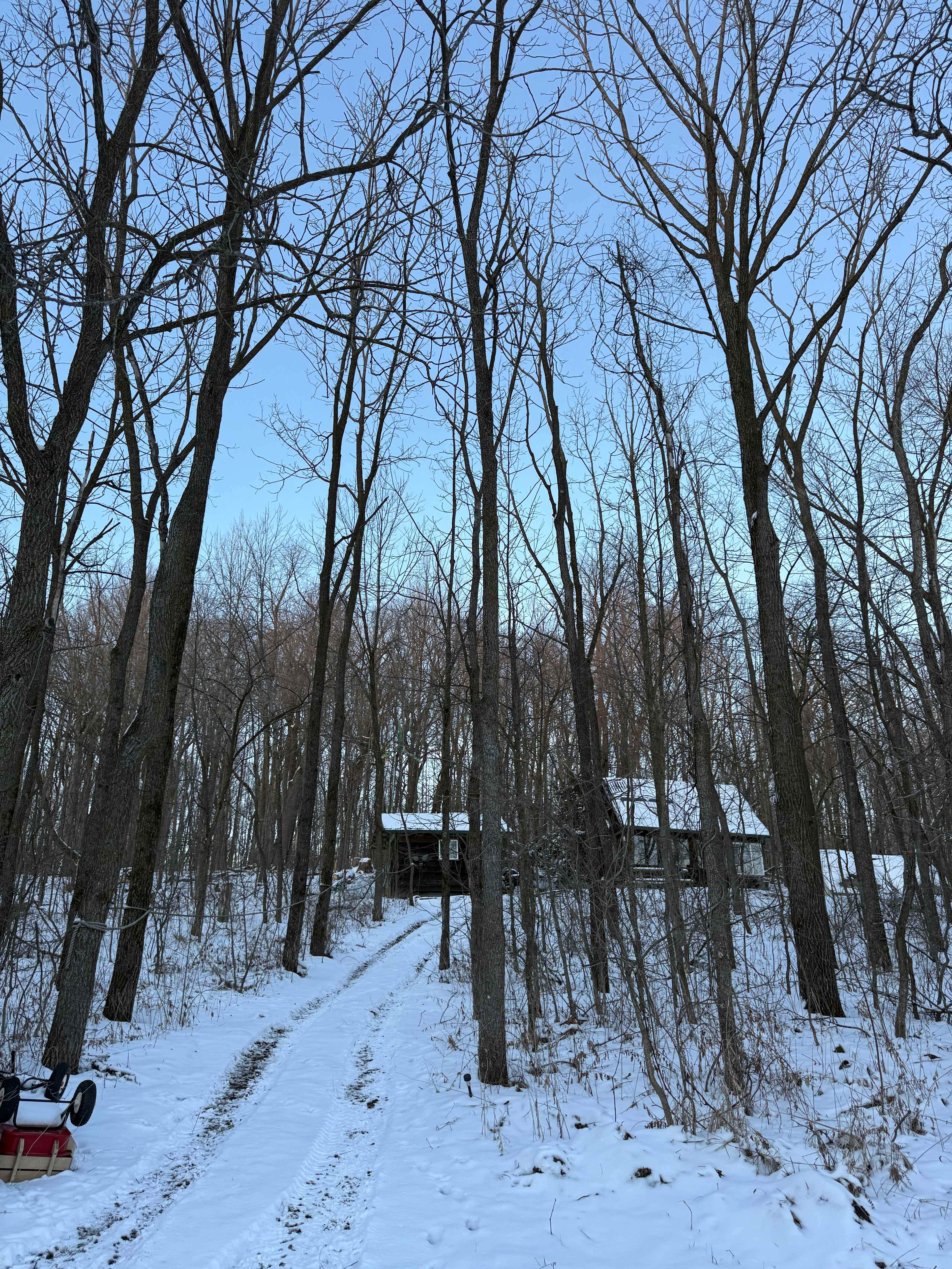 Easy walk up to the cabin from the parking area (and a quick sled ride back down)