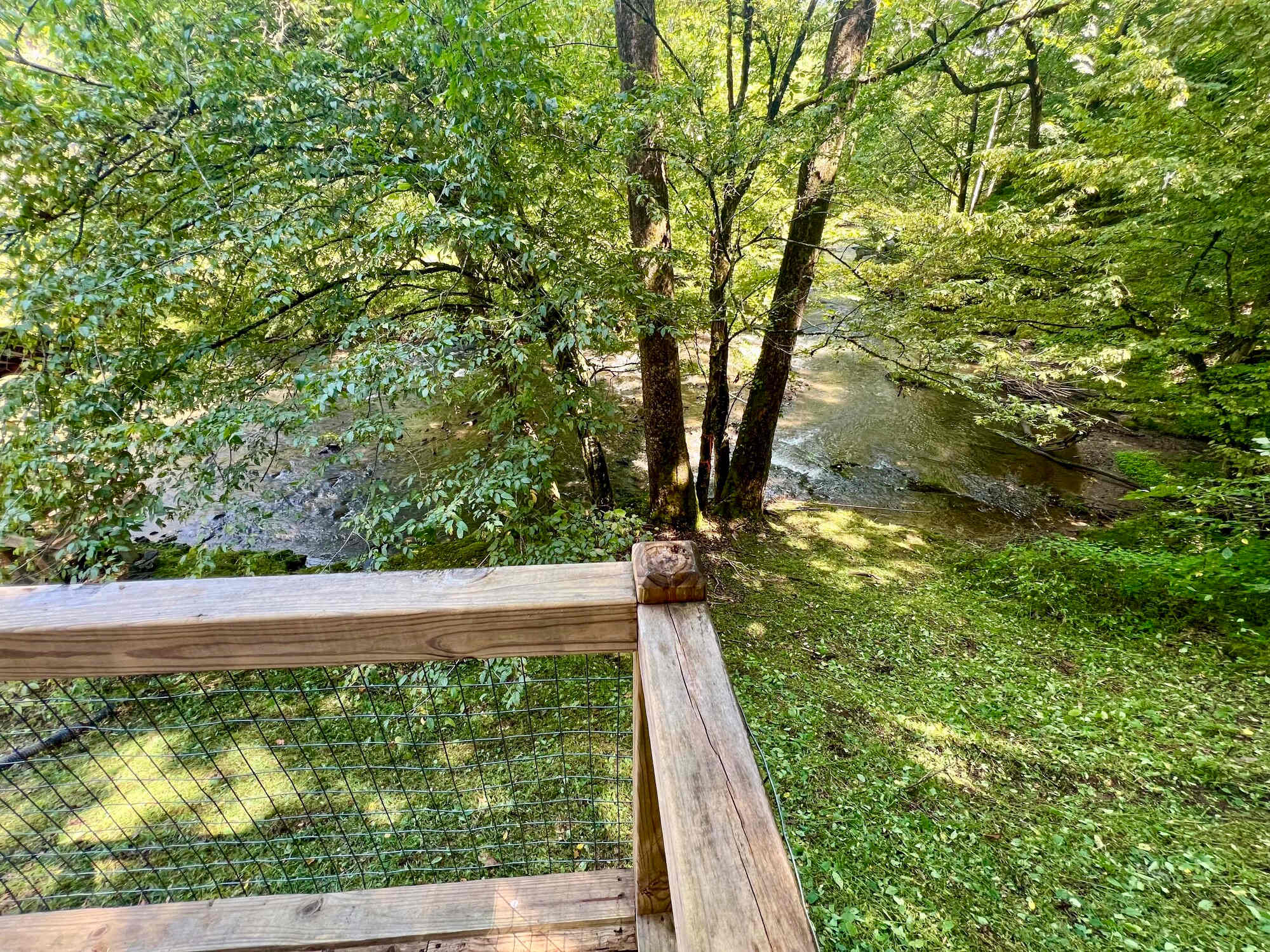 Picture of the site